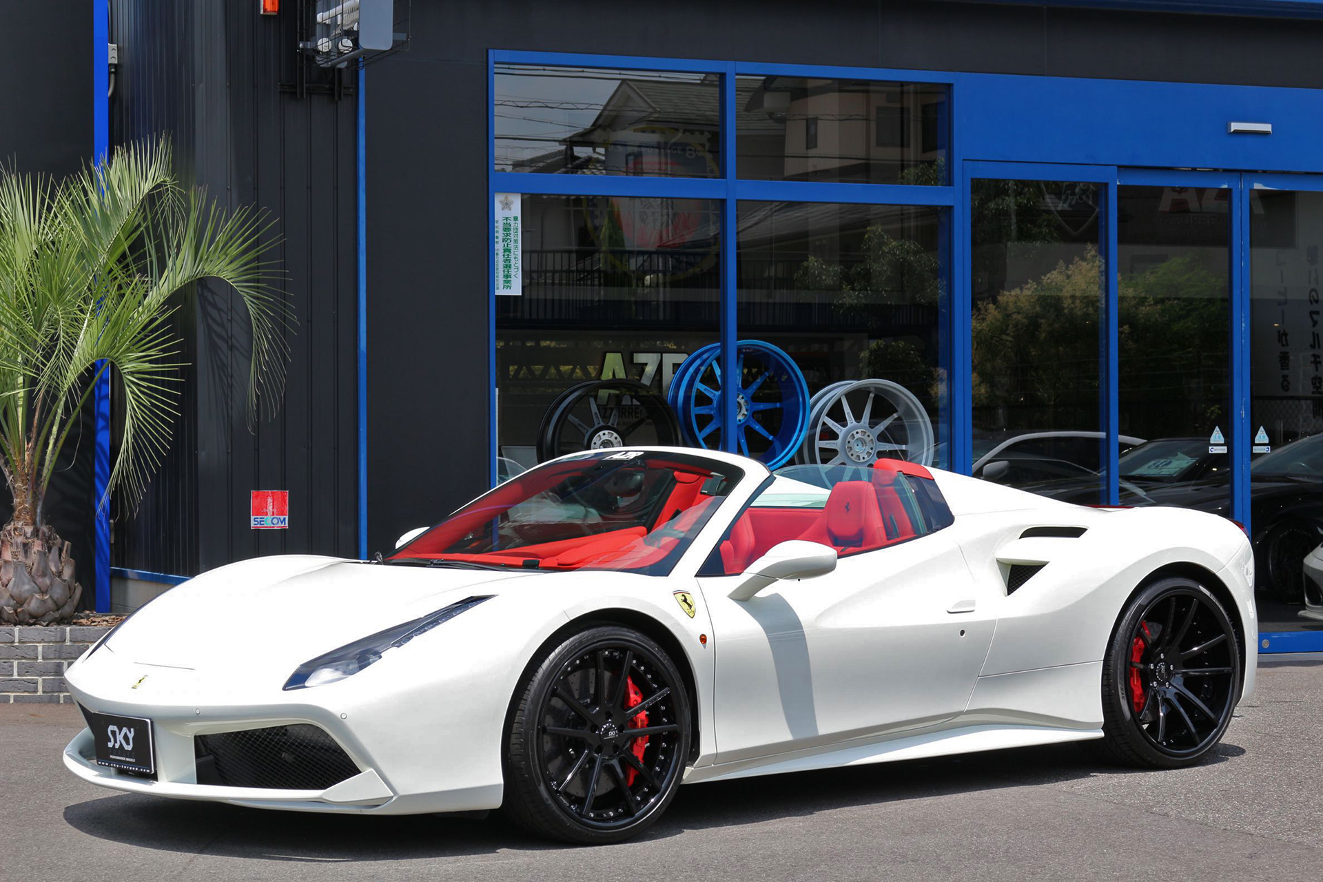 488 on S204