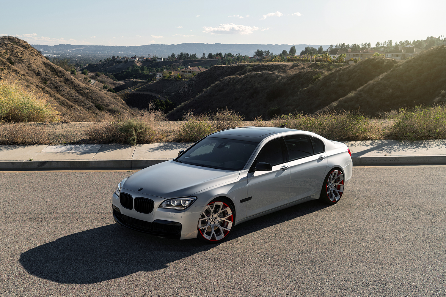 7 Series on Insetto-ECL