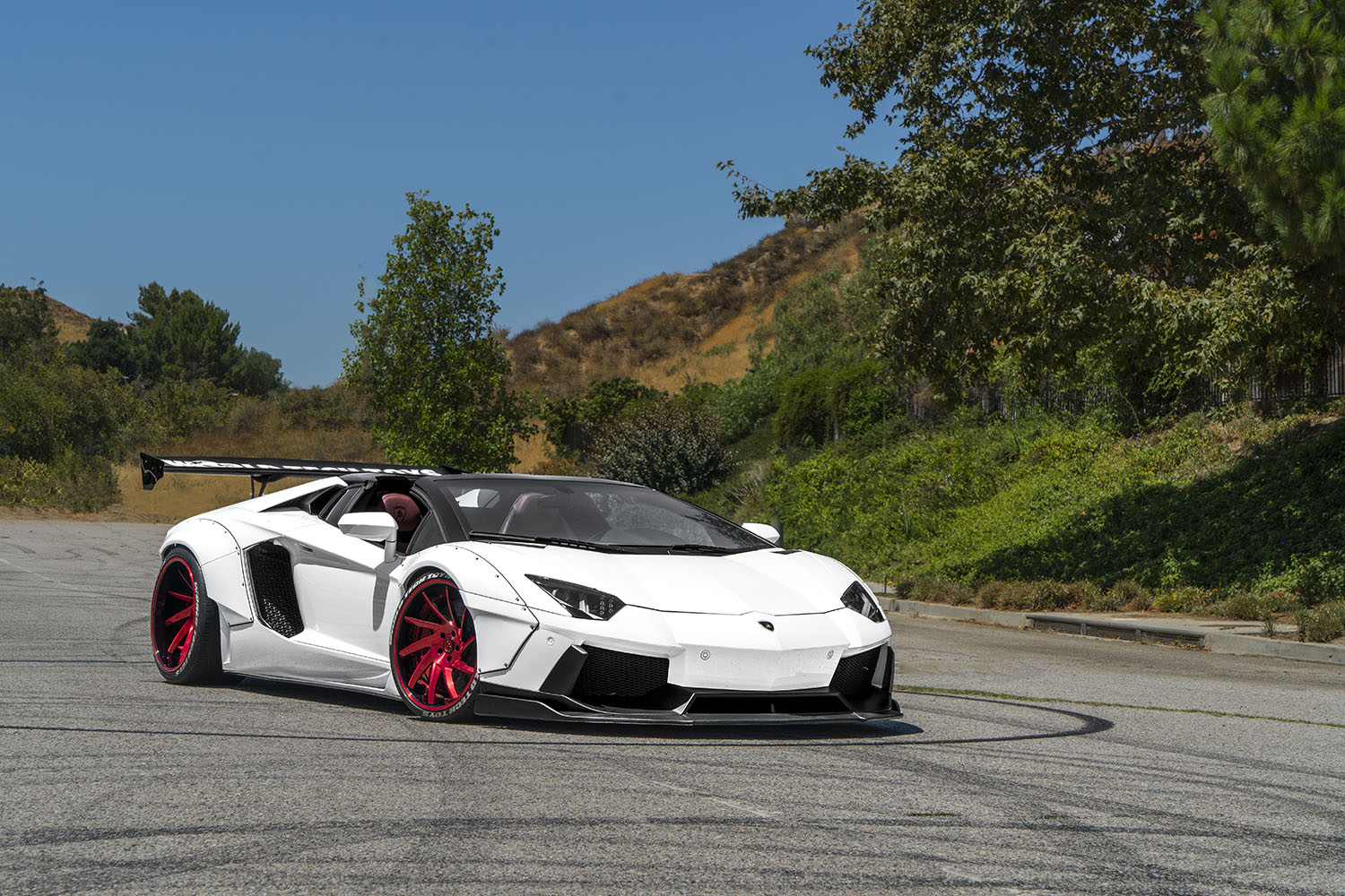 Aventador on Turni-ECL