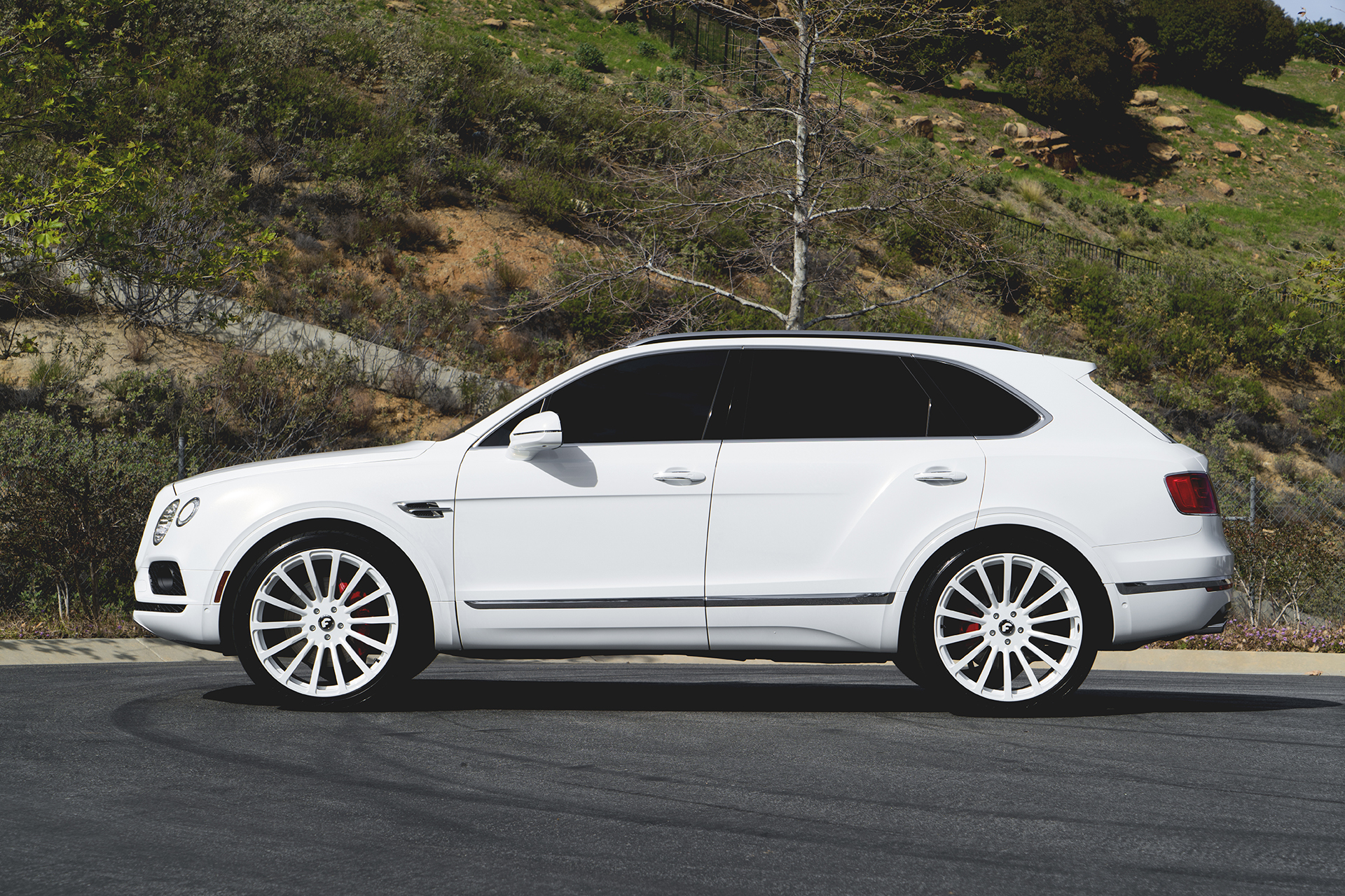 Bentayga on Piatto M