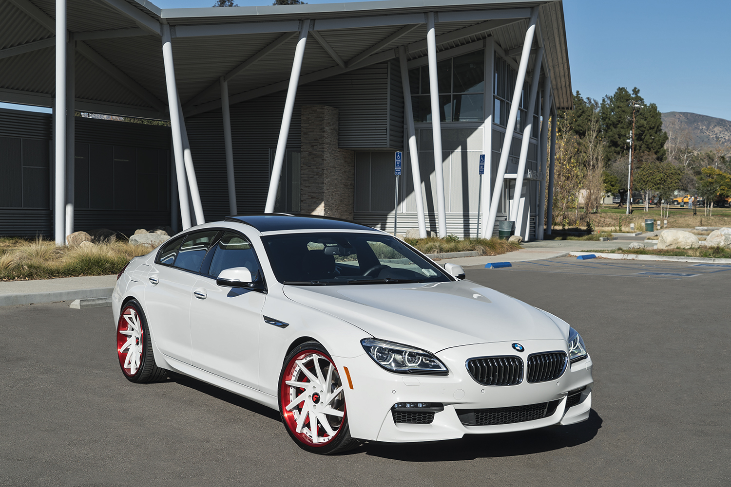 BMW 6 Series on Troppo-ECL