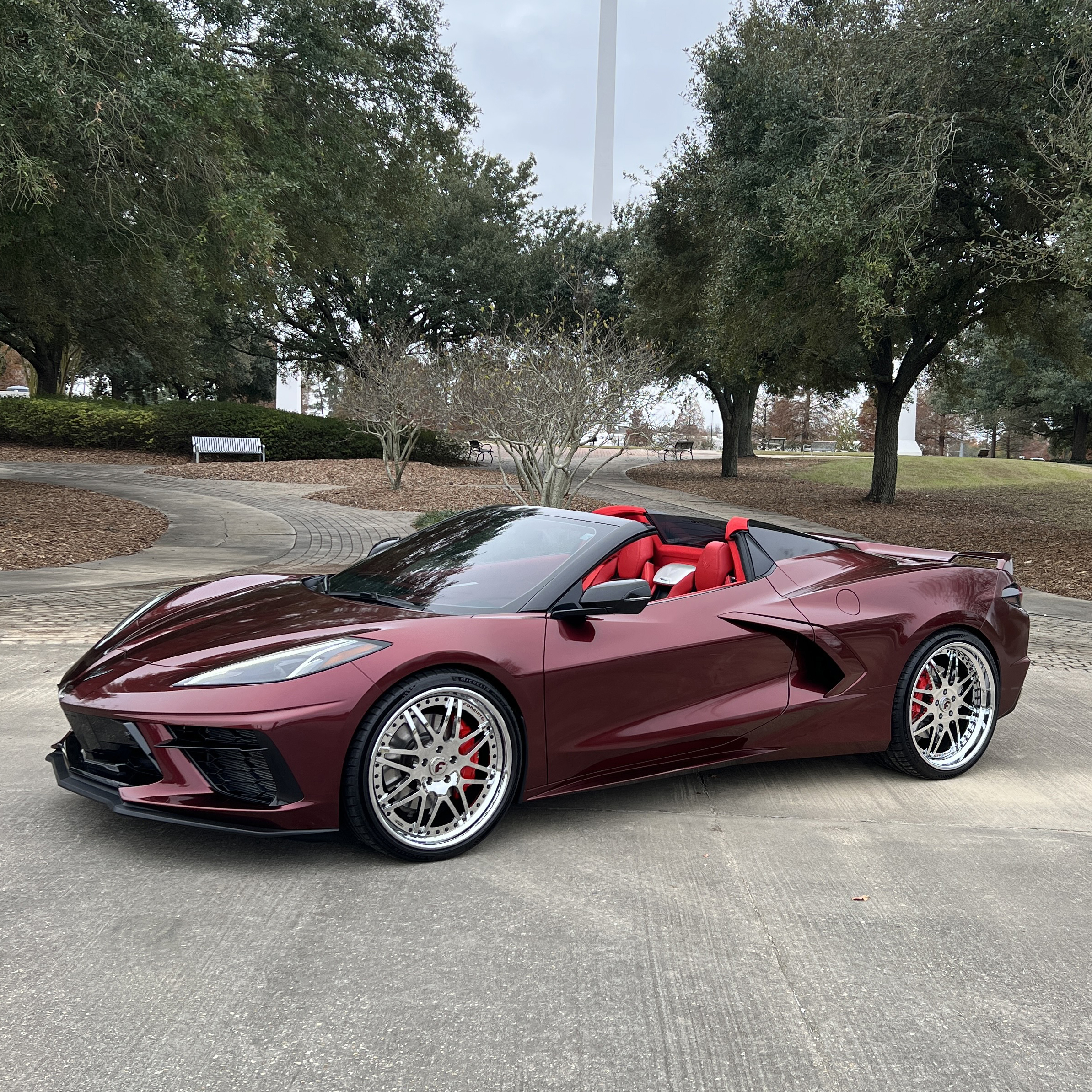C8 on Pinzette