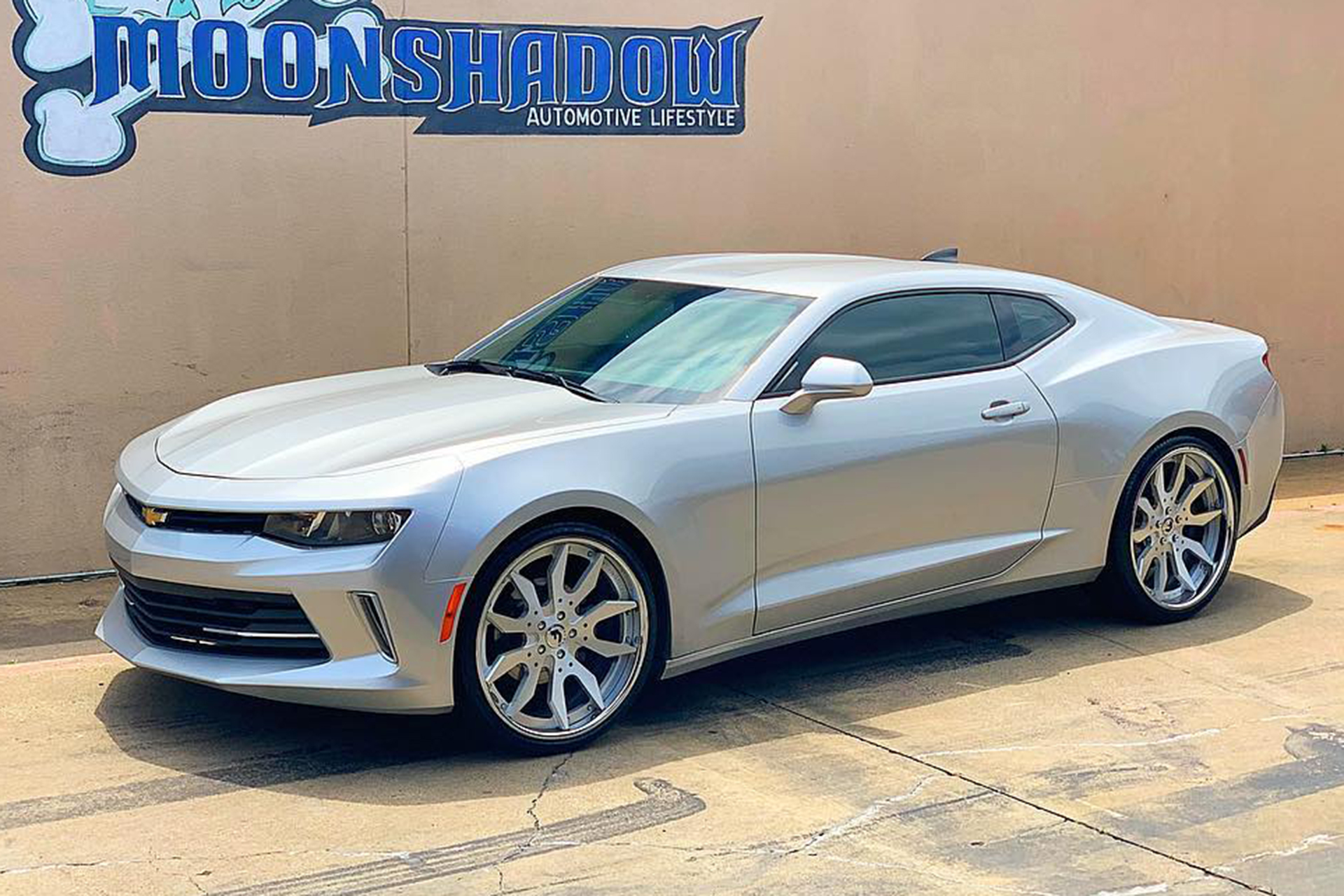 Camaro on Artigli-ECL