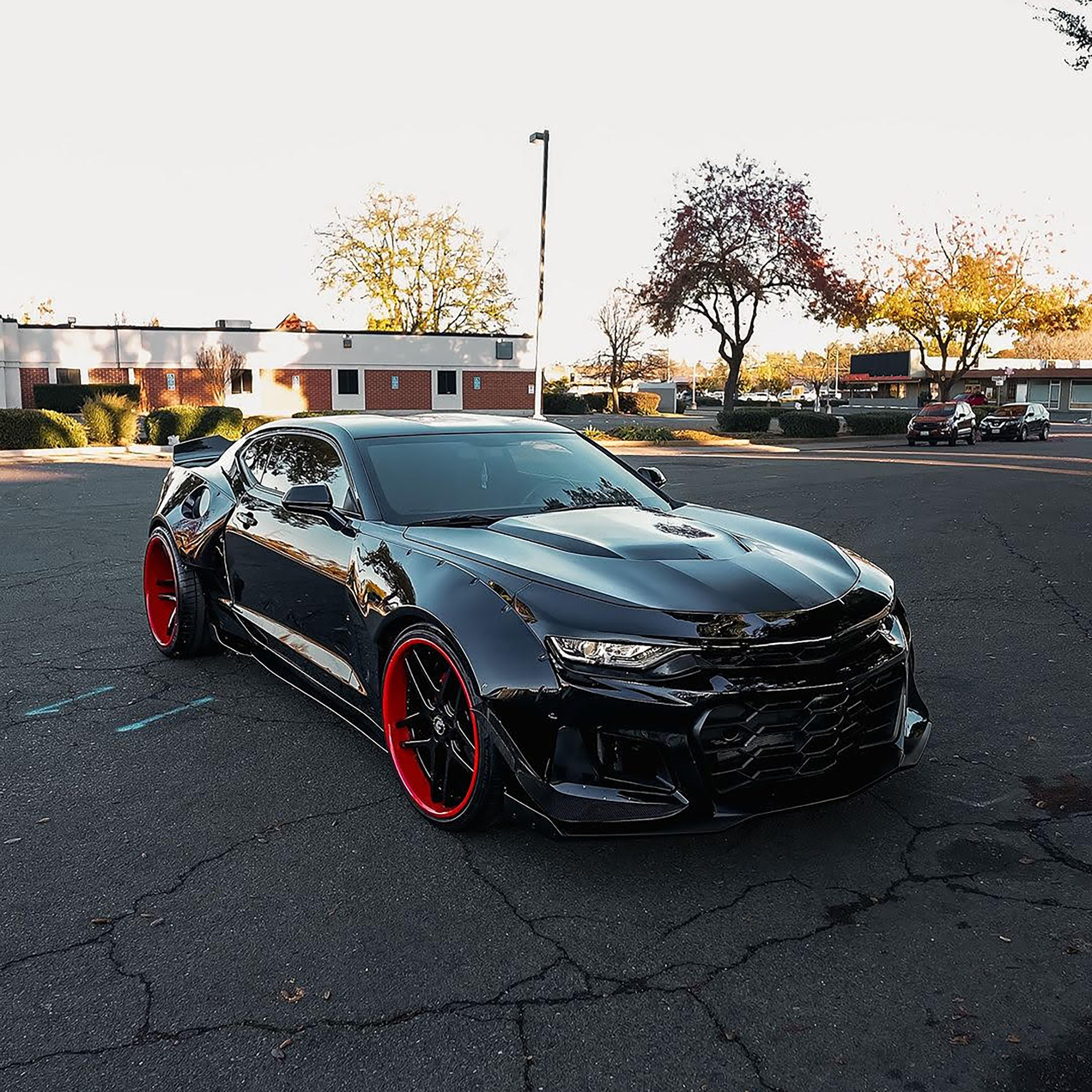 Camaro on Dieci-ECL
