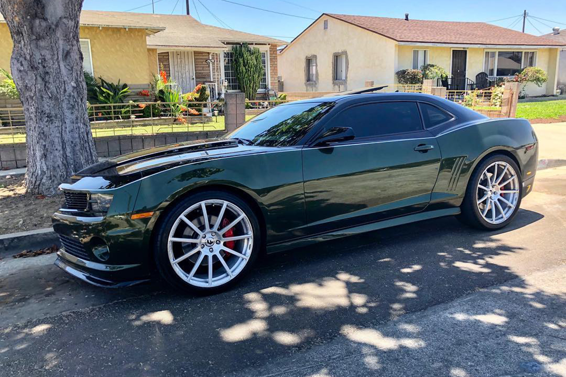 Camaro on Flangiato-M