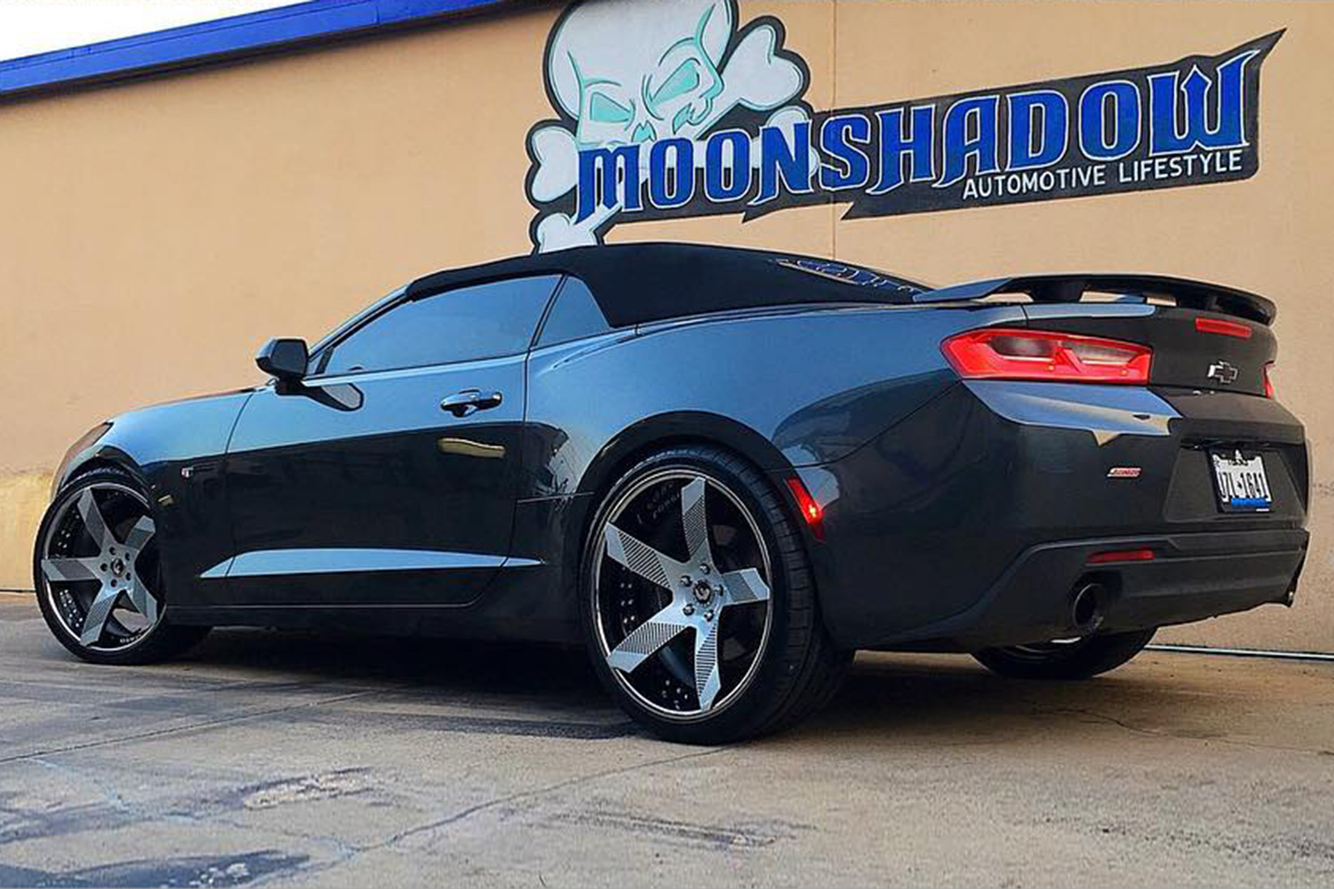 Camaro on Fossette-ECL