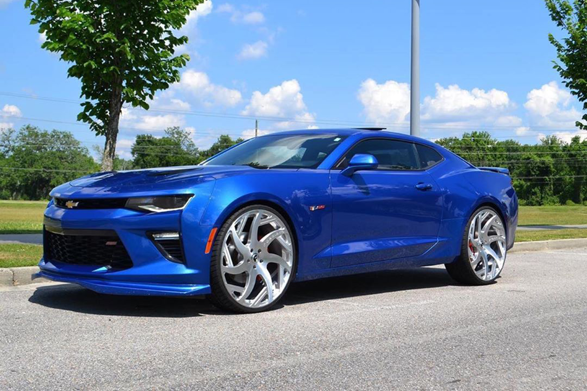 Camaro on Girare-ECL