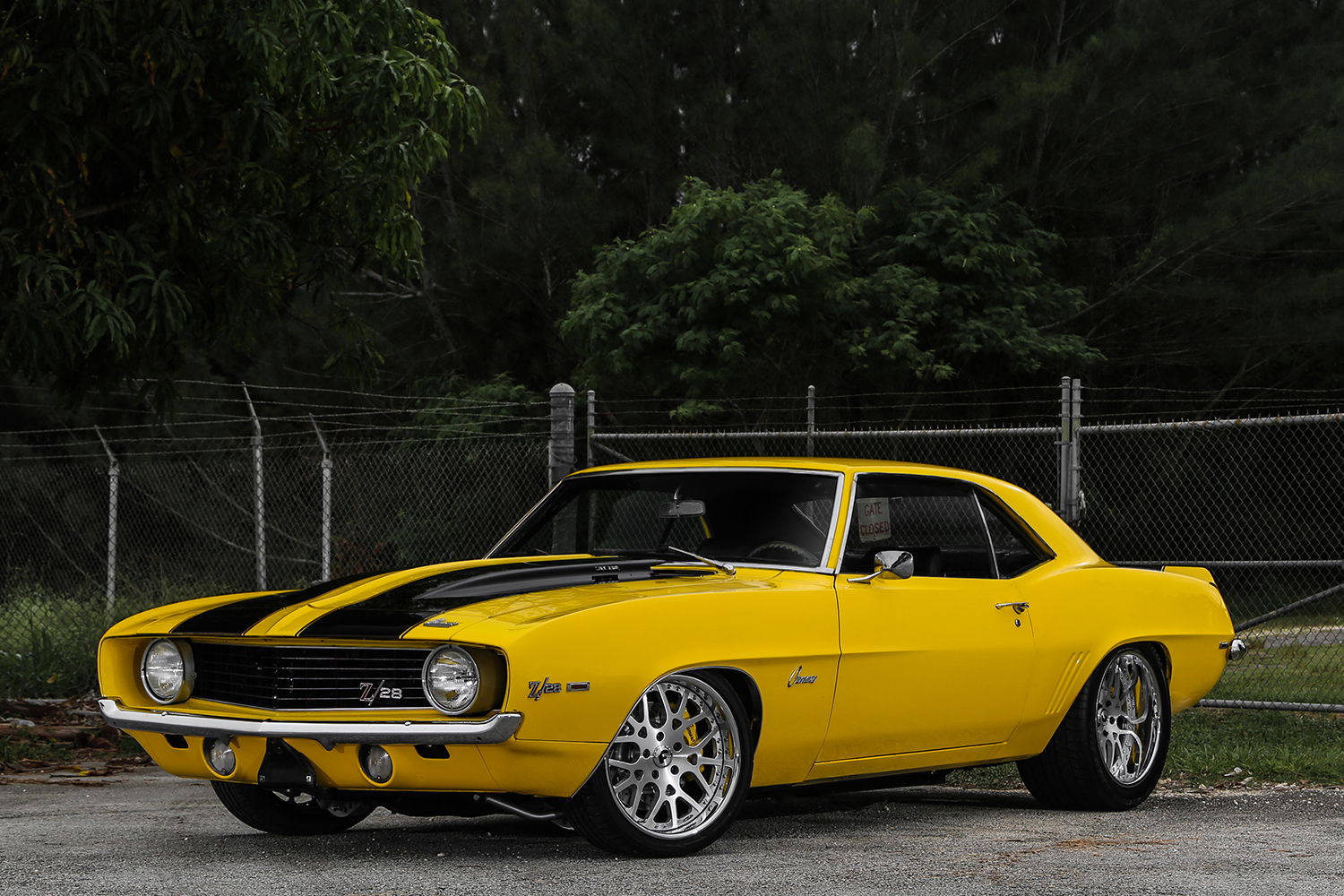 Camaro on Maglia