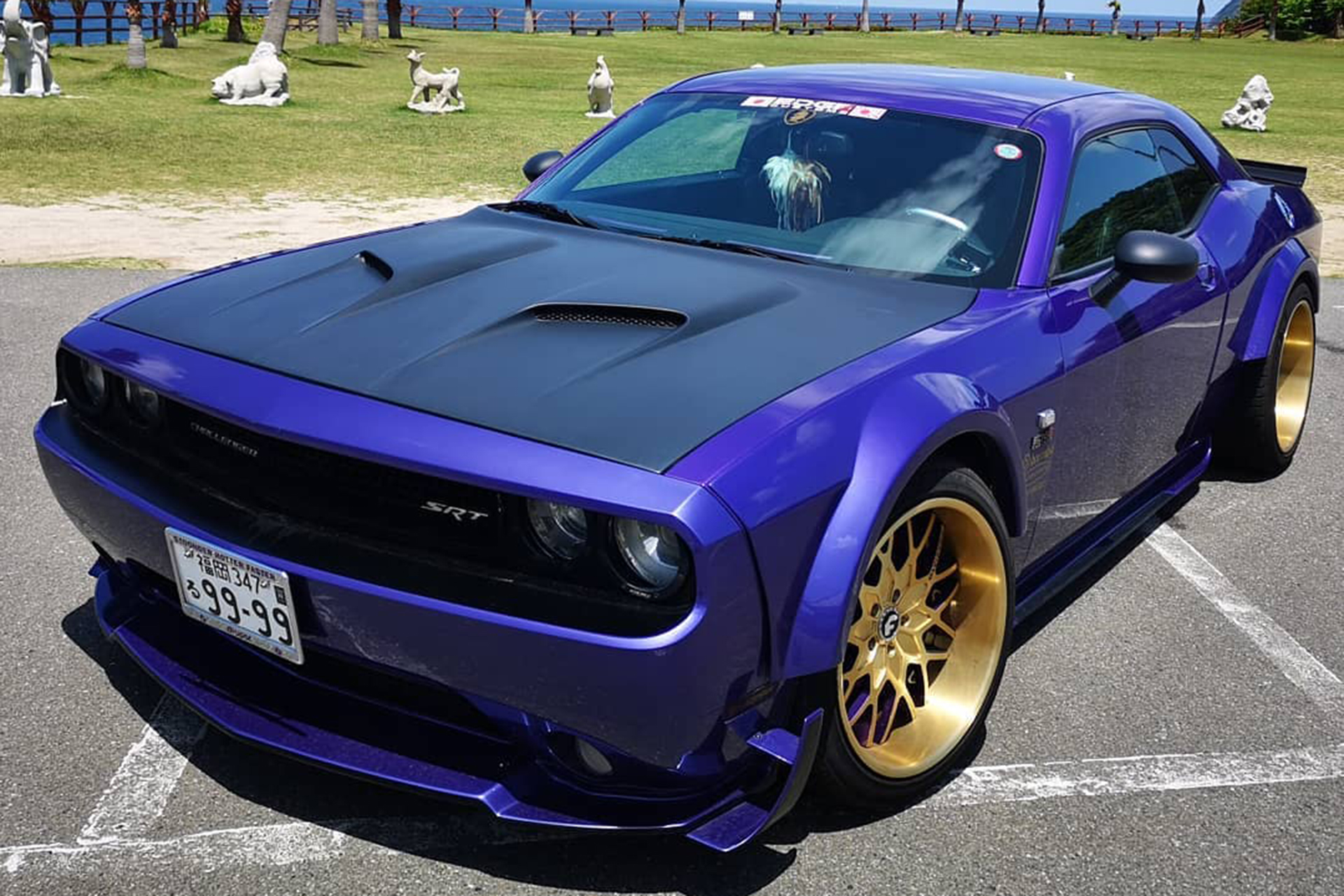 Challenger on Niddo-B