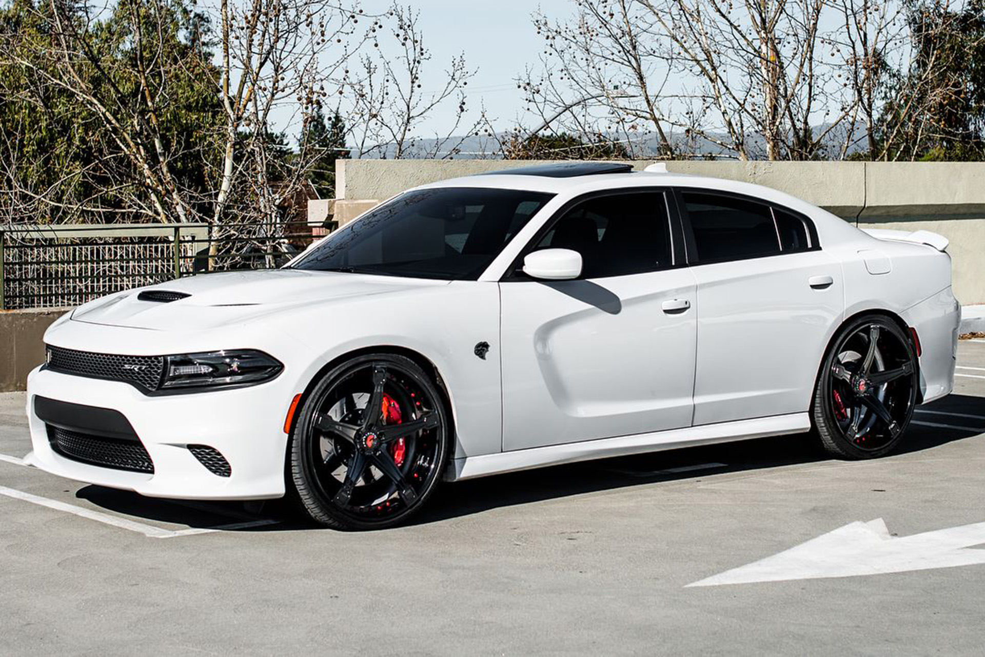 Charger on Martellato-ECL