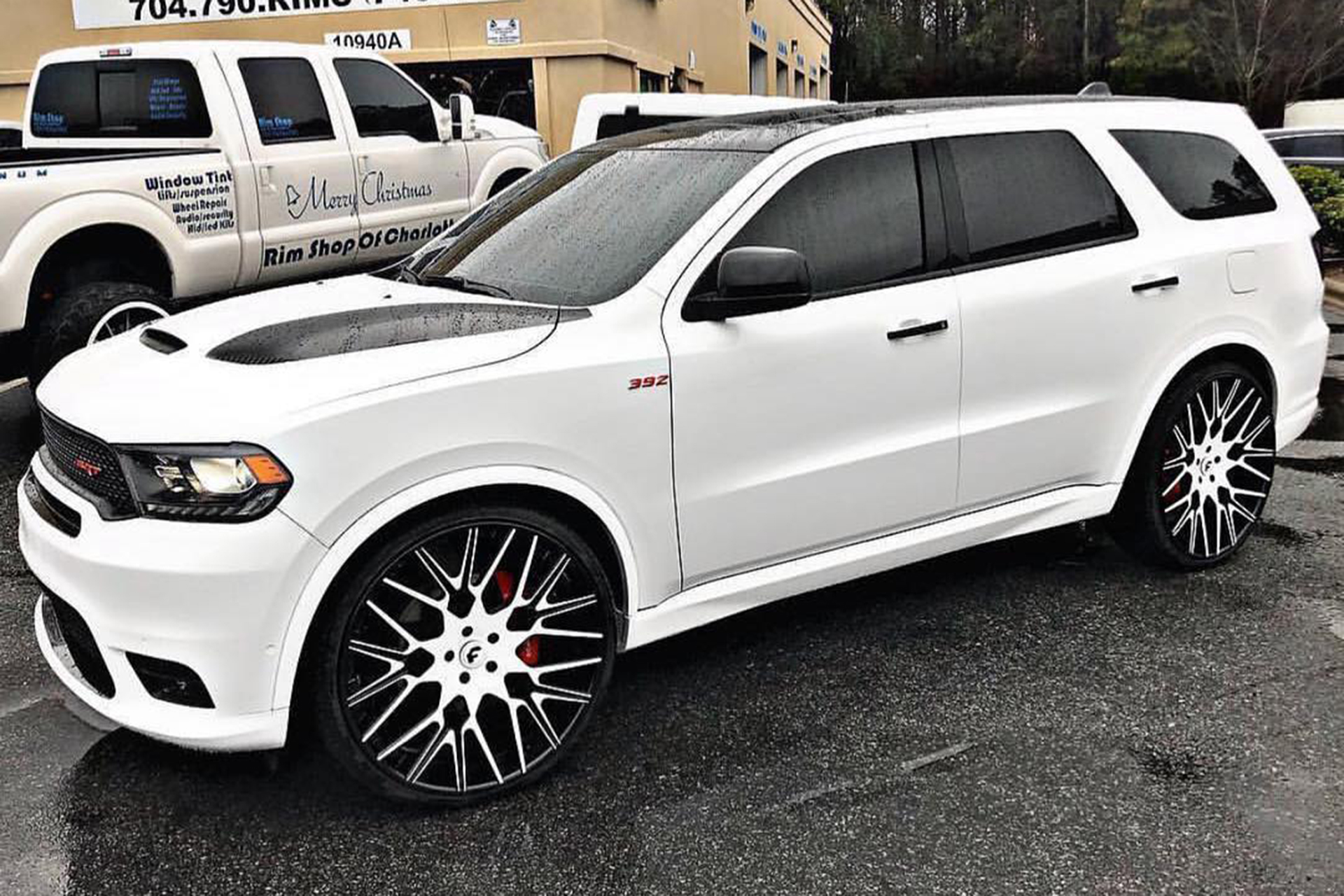 Cherokee on Fratello-ECL