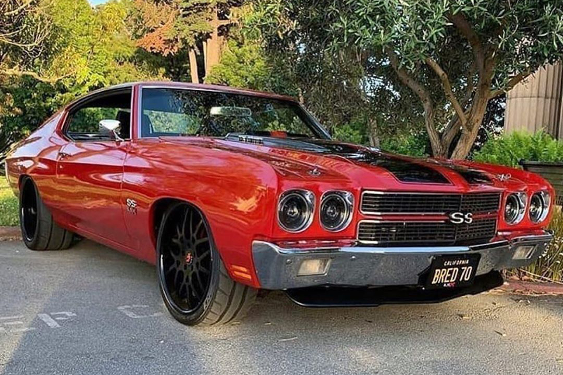 Chevelle on Maglia