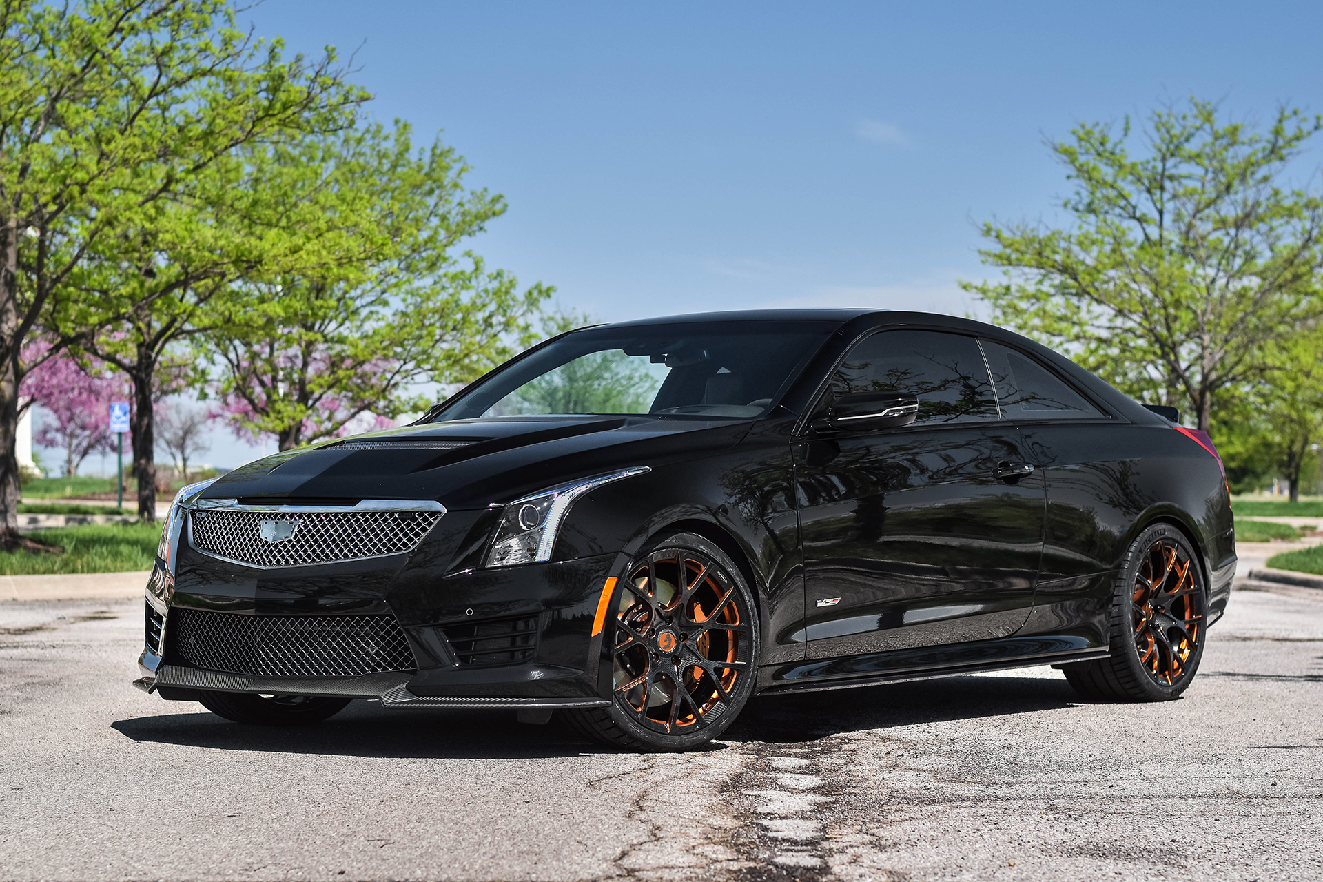 CTS on Insetto-M