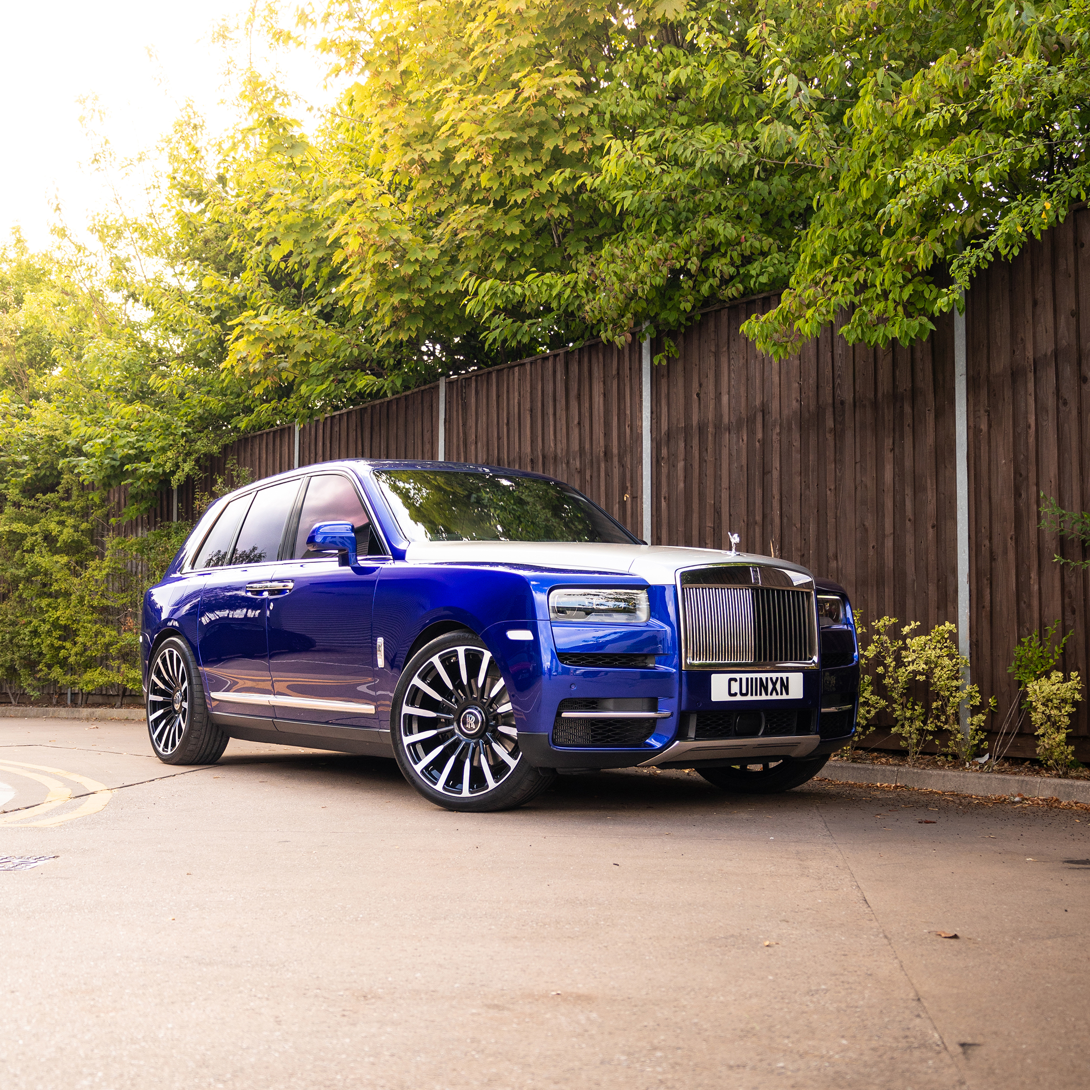 Cullinan on K-9