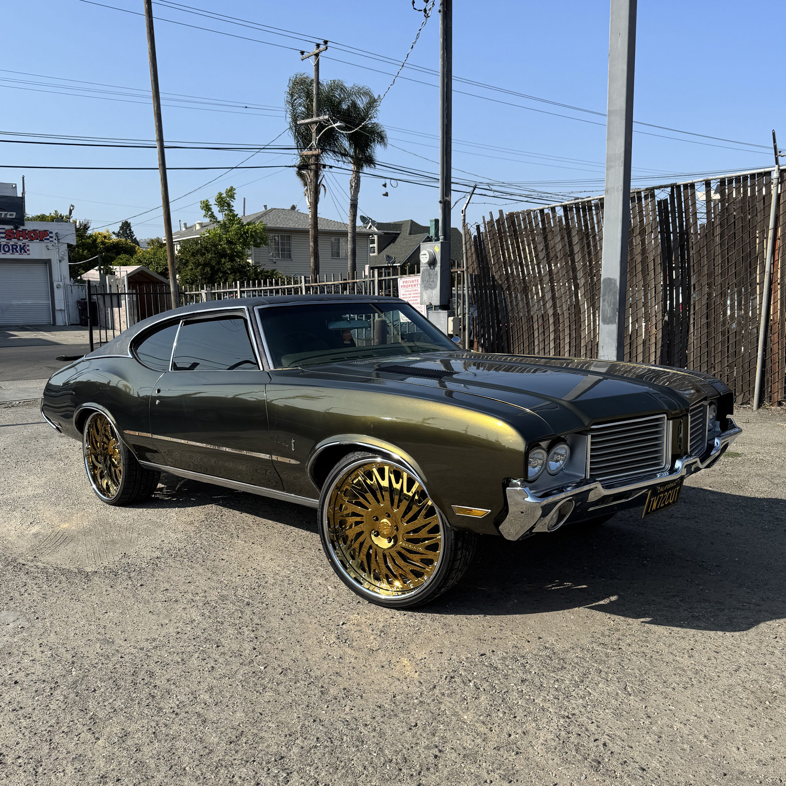 Cutlass on Biaforca