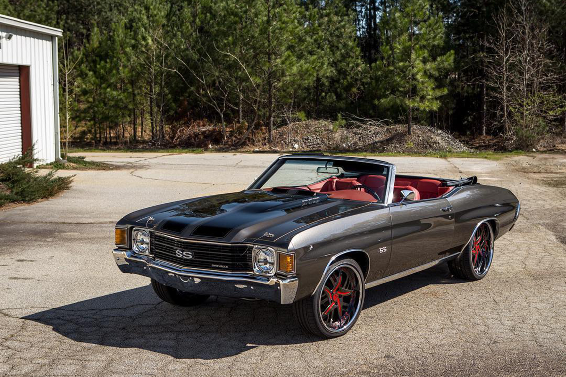 Cutlass on Decimo L