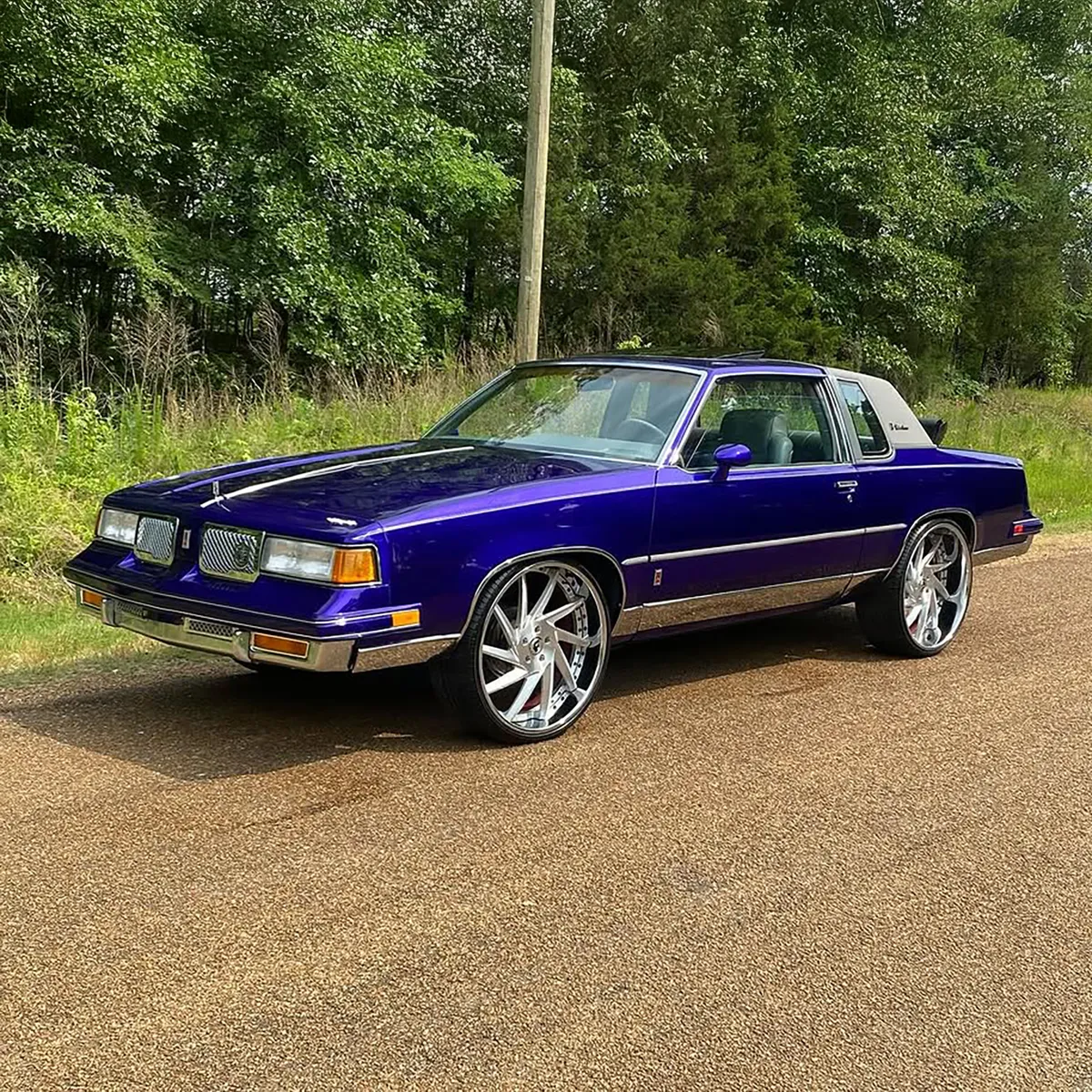 Oldsmobile Cutlass on Forgiato Troppo wheels