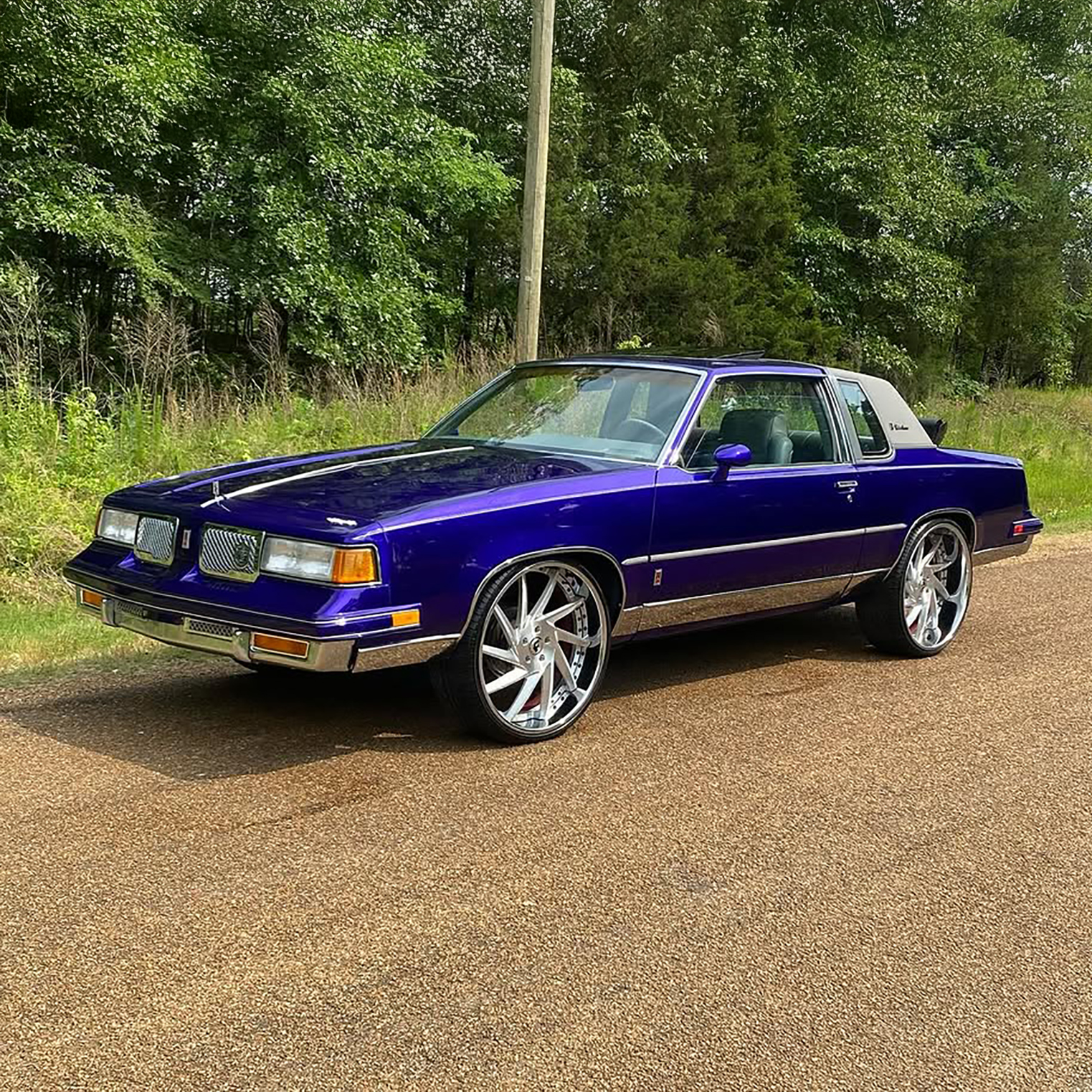 Cutlass on Troppo
