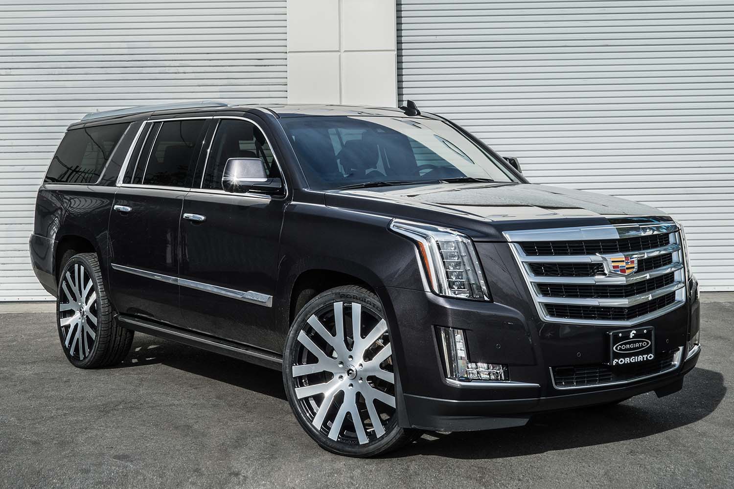Escalade on Dito M
