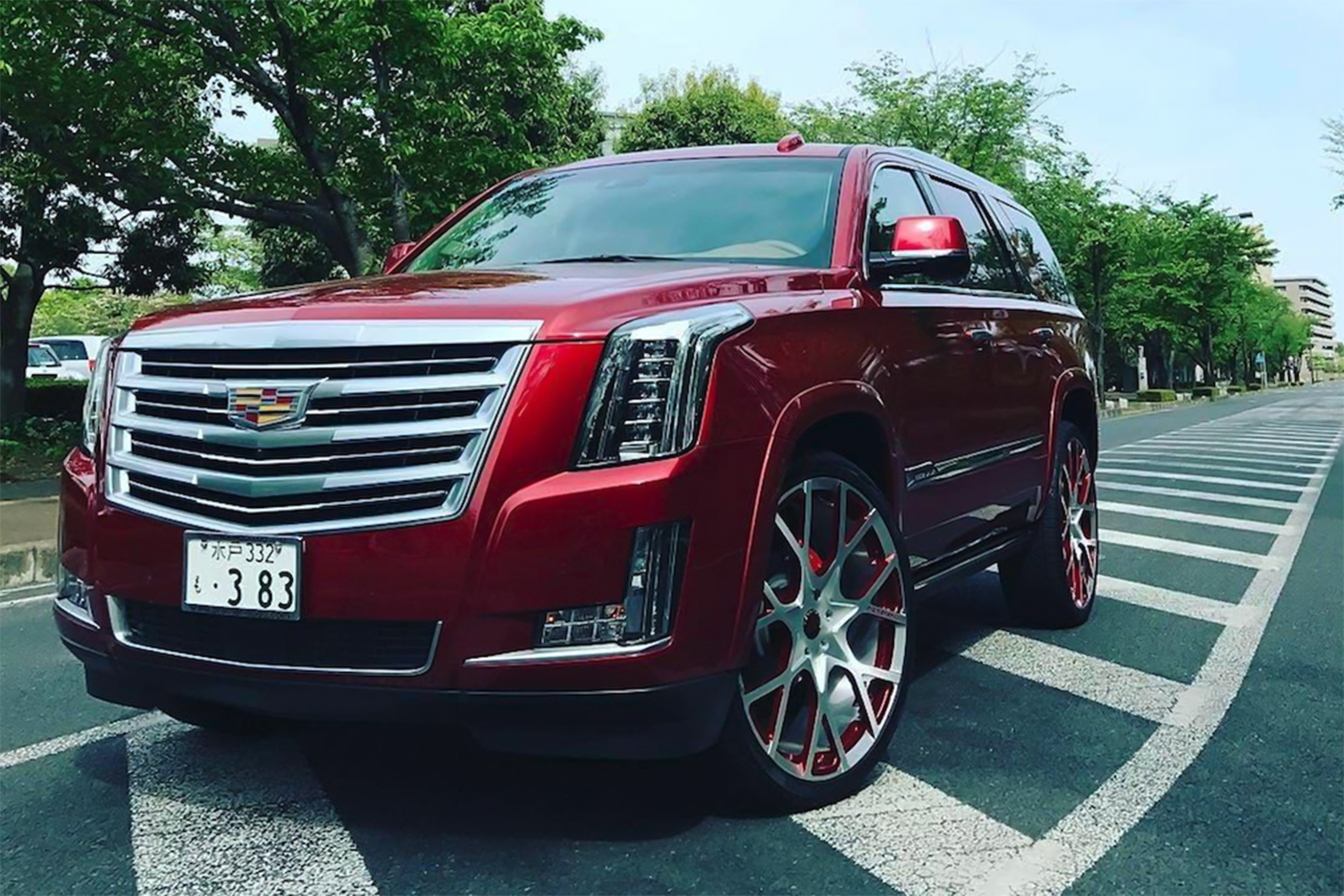 Escalade on Insetto-M