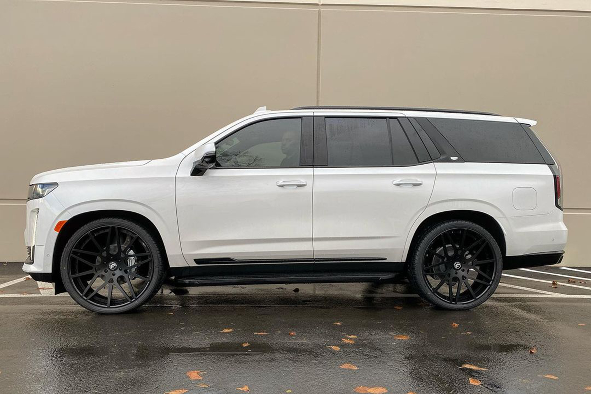 Escalade on Maglia-ECL