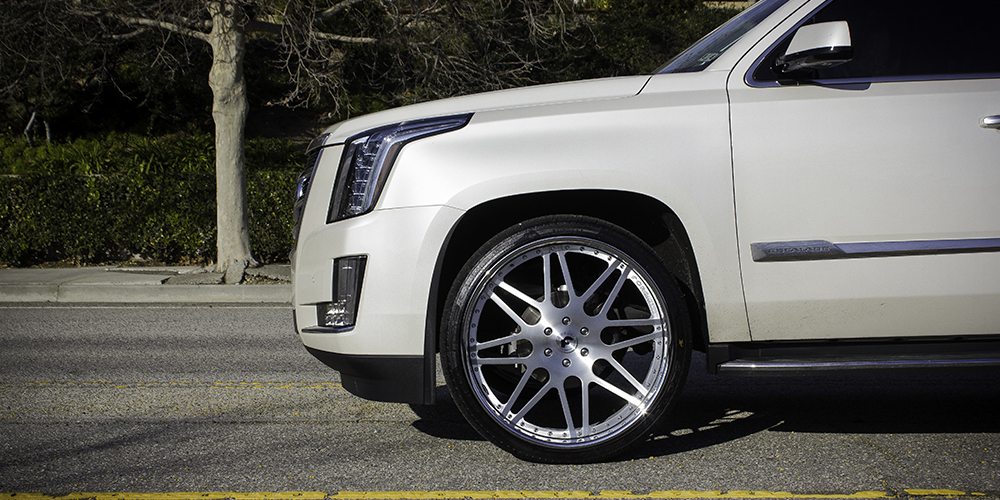 Escalade on Pinzette
