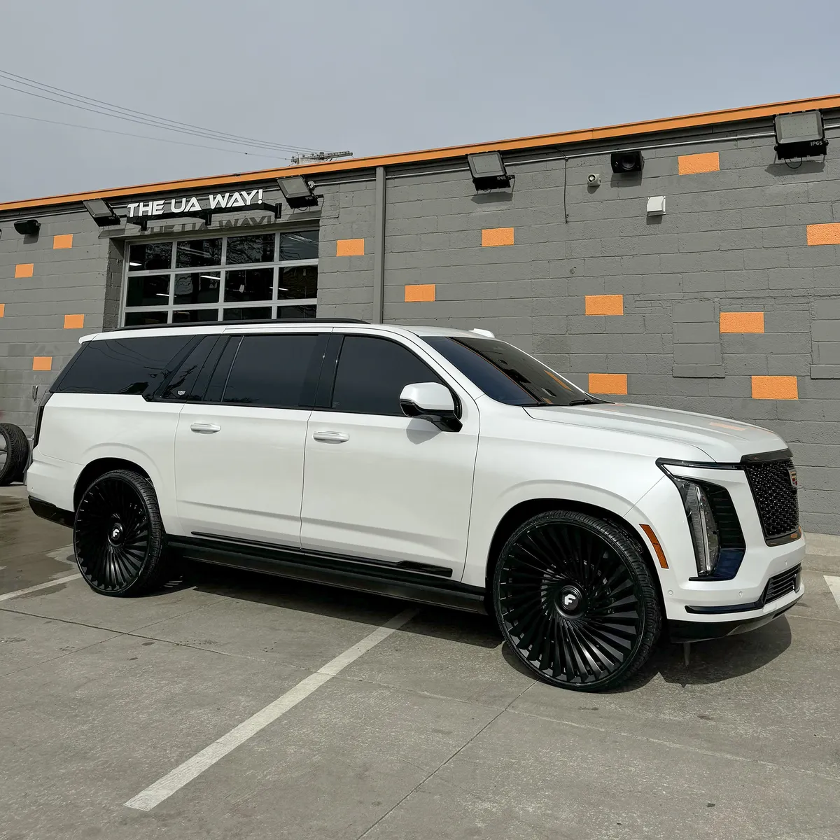 Escalade on Twisted Trimestre-M
