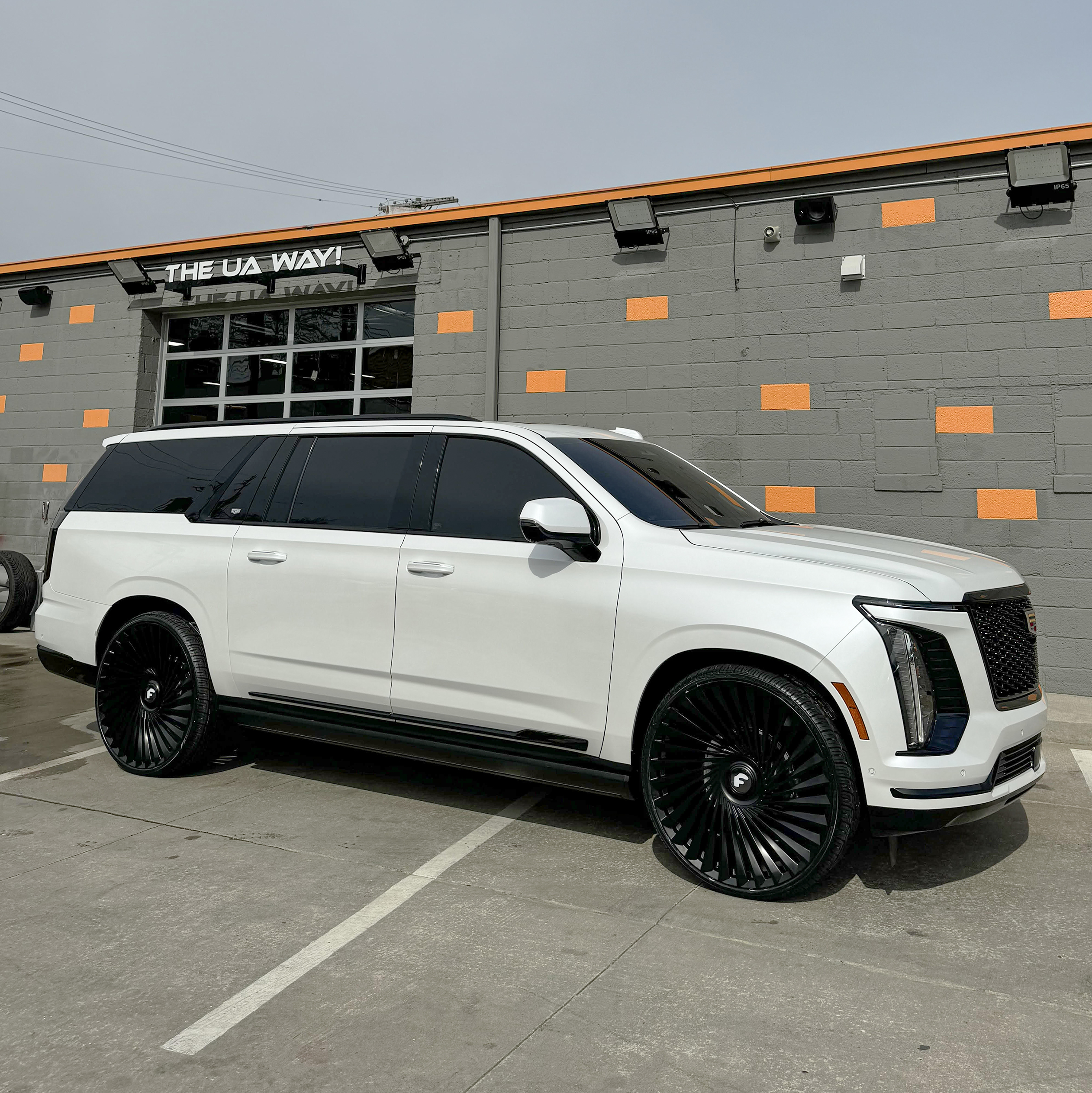 Escalade on Twisted Trimestre-M