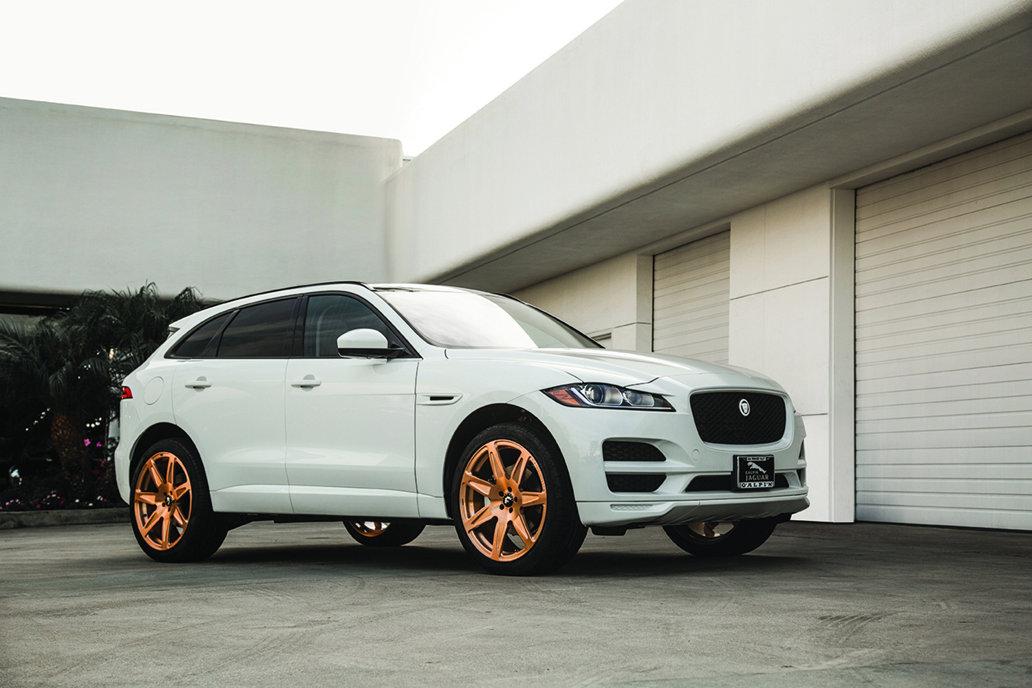 F Pace on Esporre-M