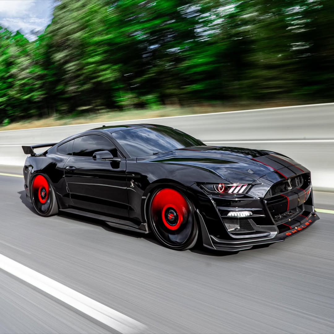 Ford Mustang on Twisted Trimestre