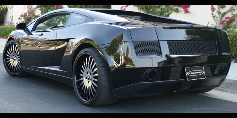 Gallardo on Andata