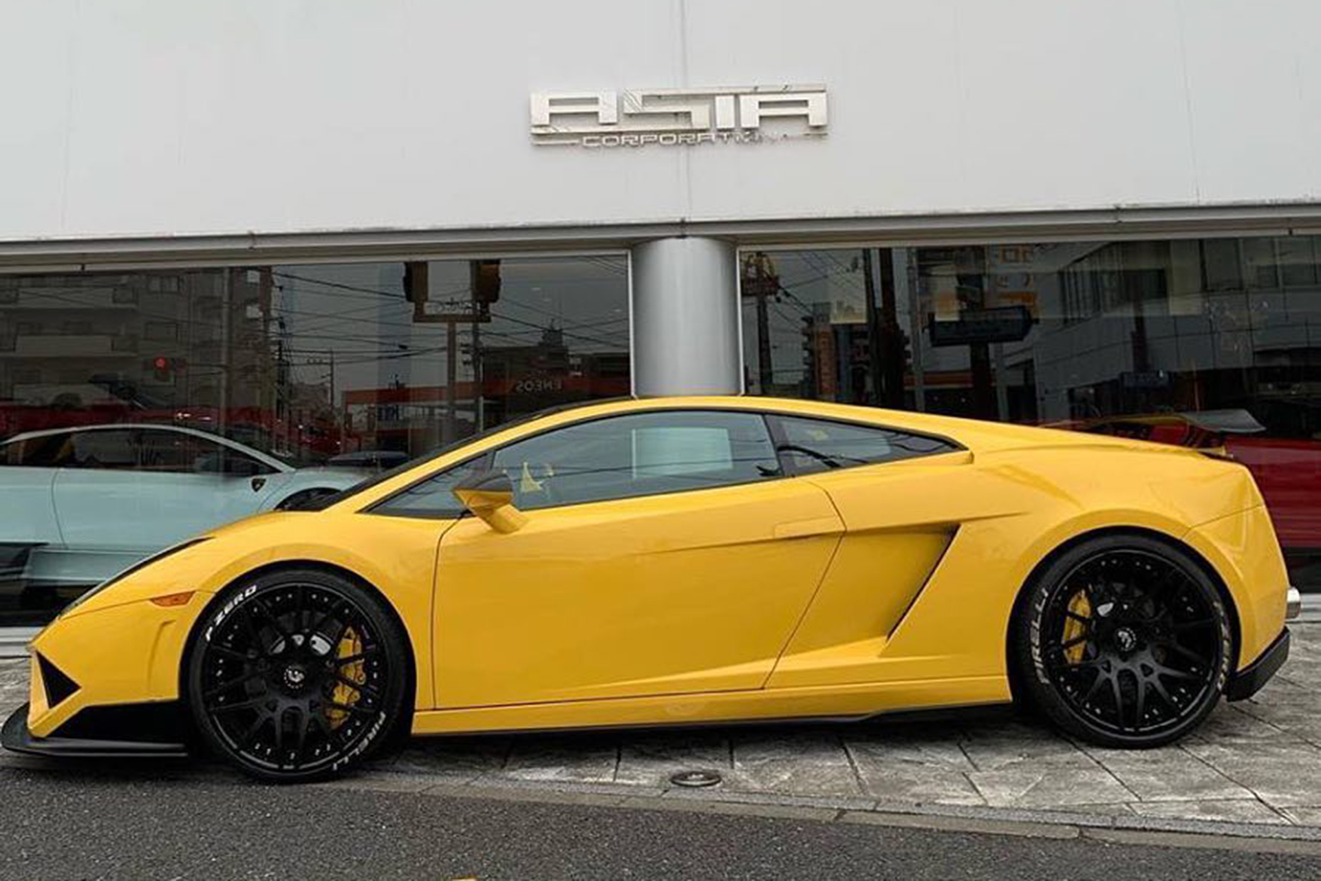 Gallardo on Maglia-ECL