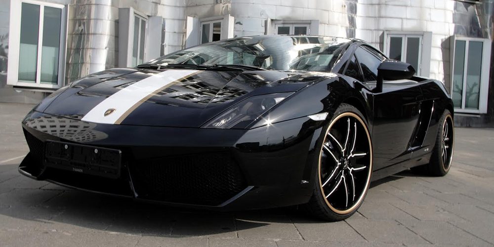 Gallardo on Vizzo