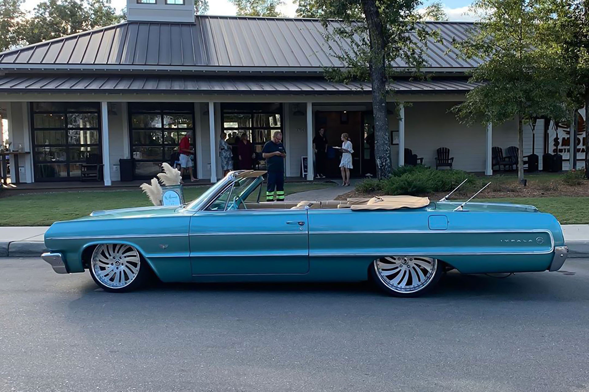 Impala on Canale-L