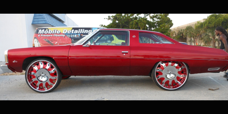 Impala on Grano