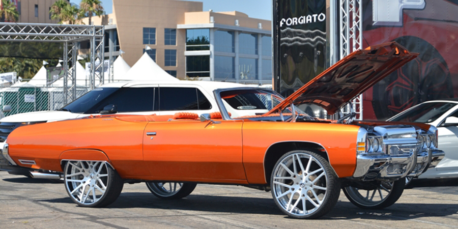 Impala on Maglia-ECL