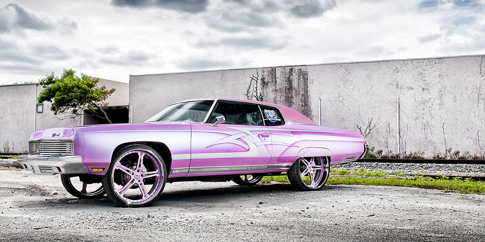 Impala on Martellato