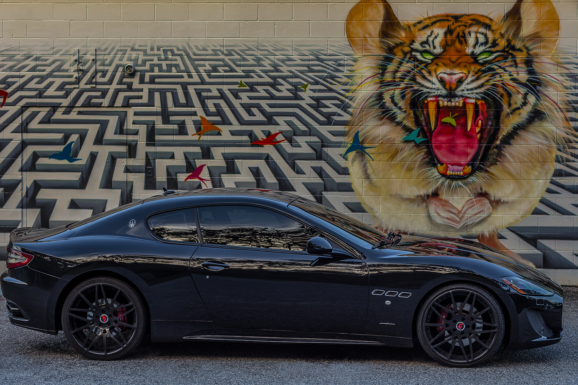 Maserati Gran Sport on Maglia-ECL