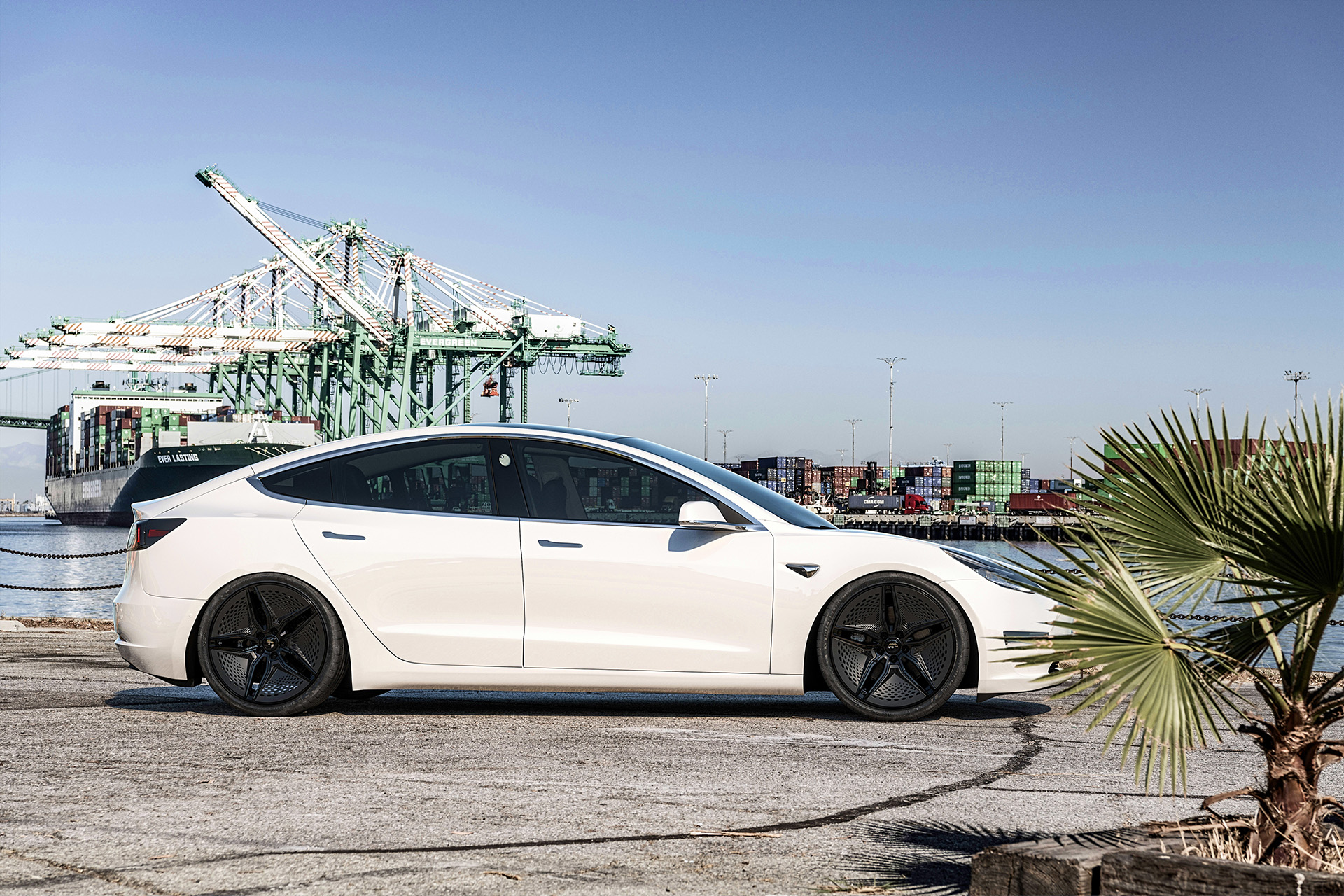 Model 3 on Ev