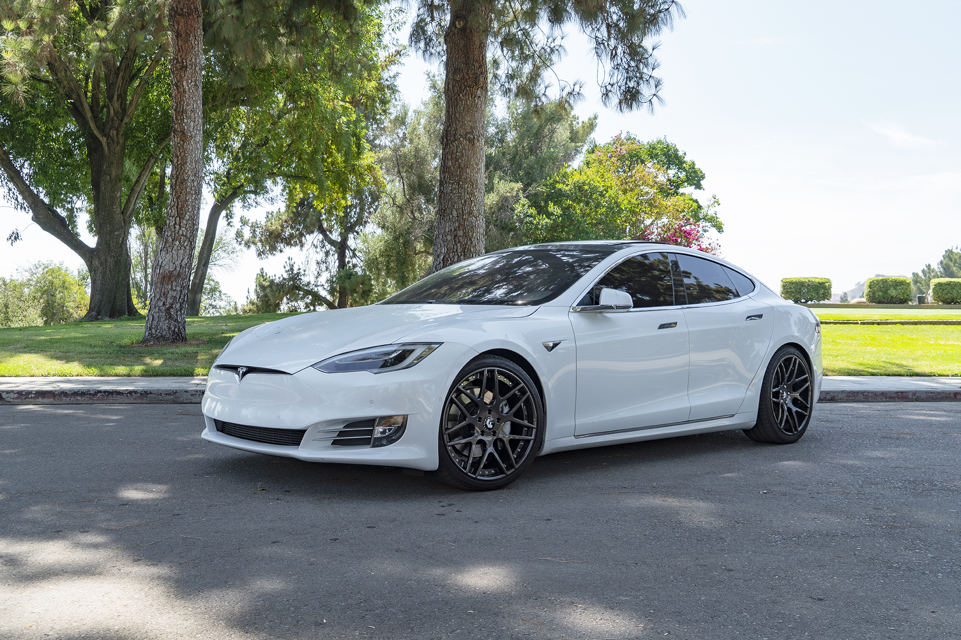 Model S on S202