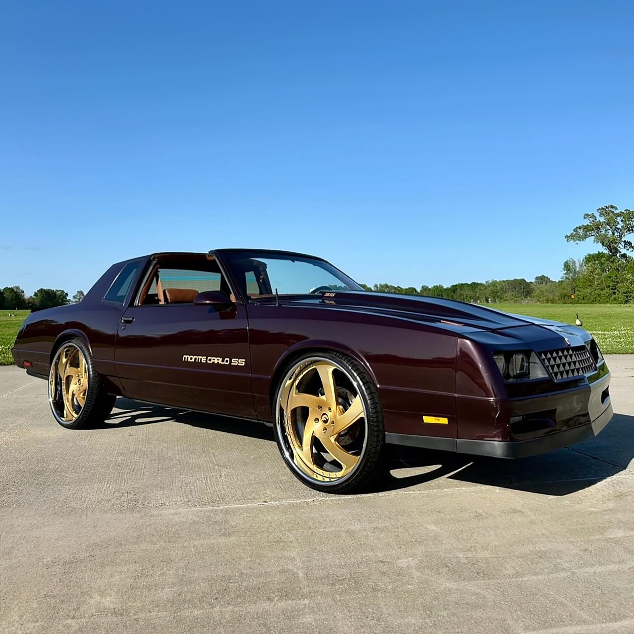 Monte Carlo SS on Sr01