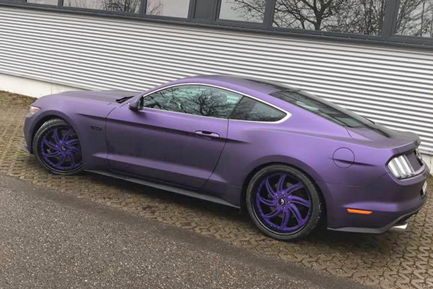 Mustang on Azioni