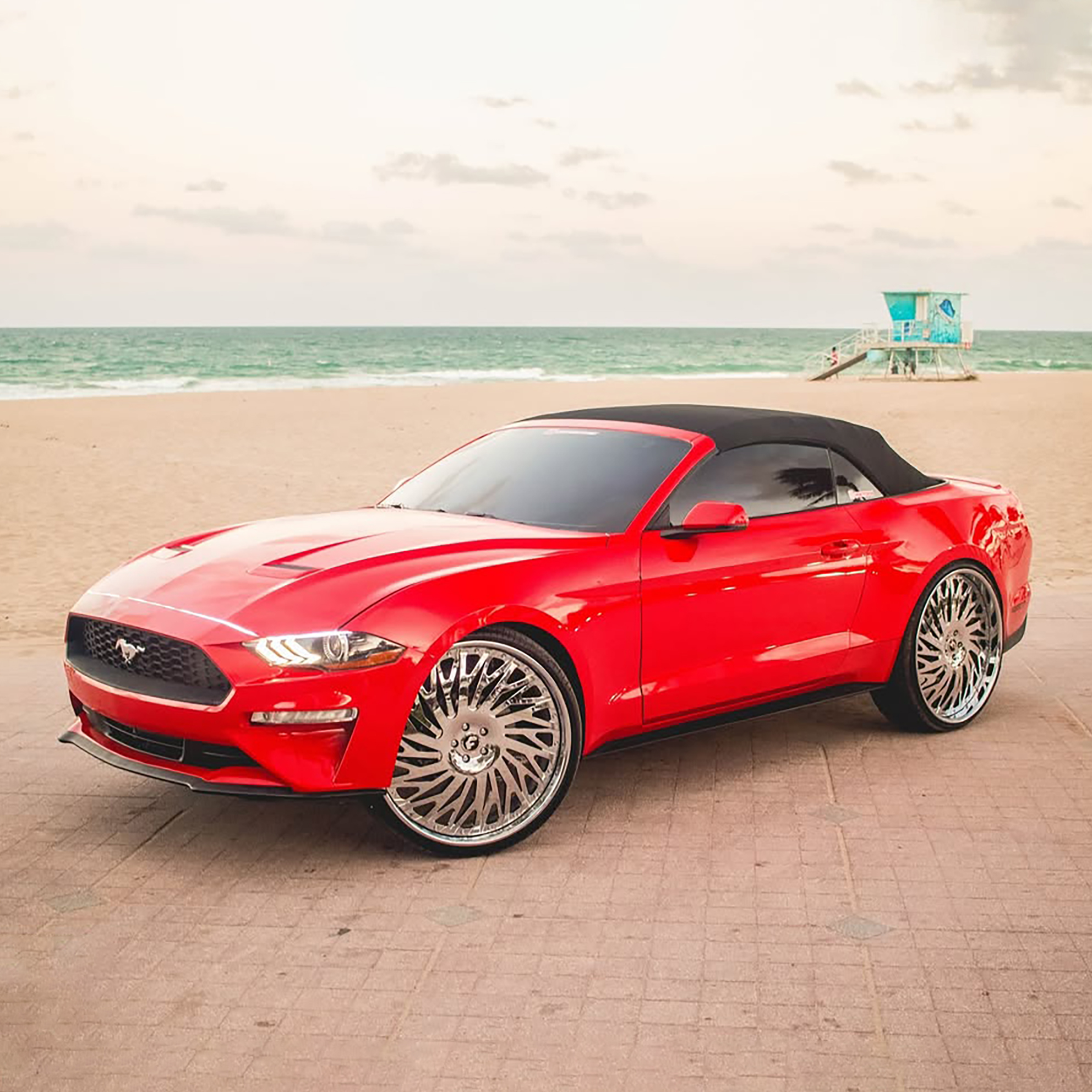 Mustang on Biaforca