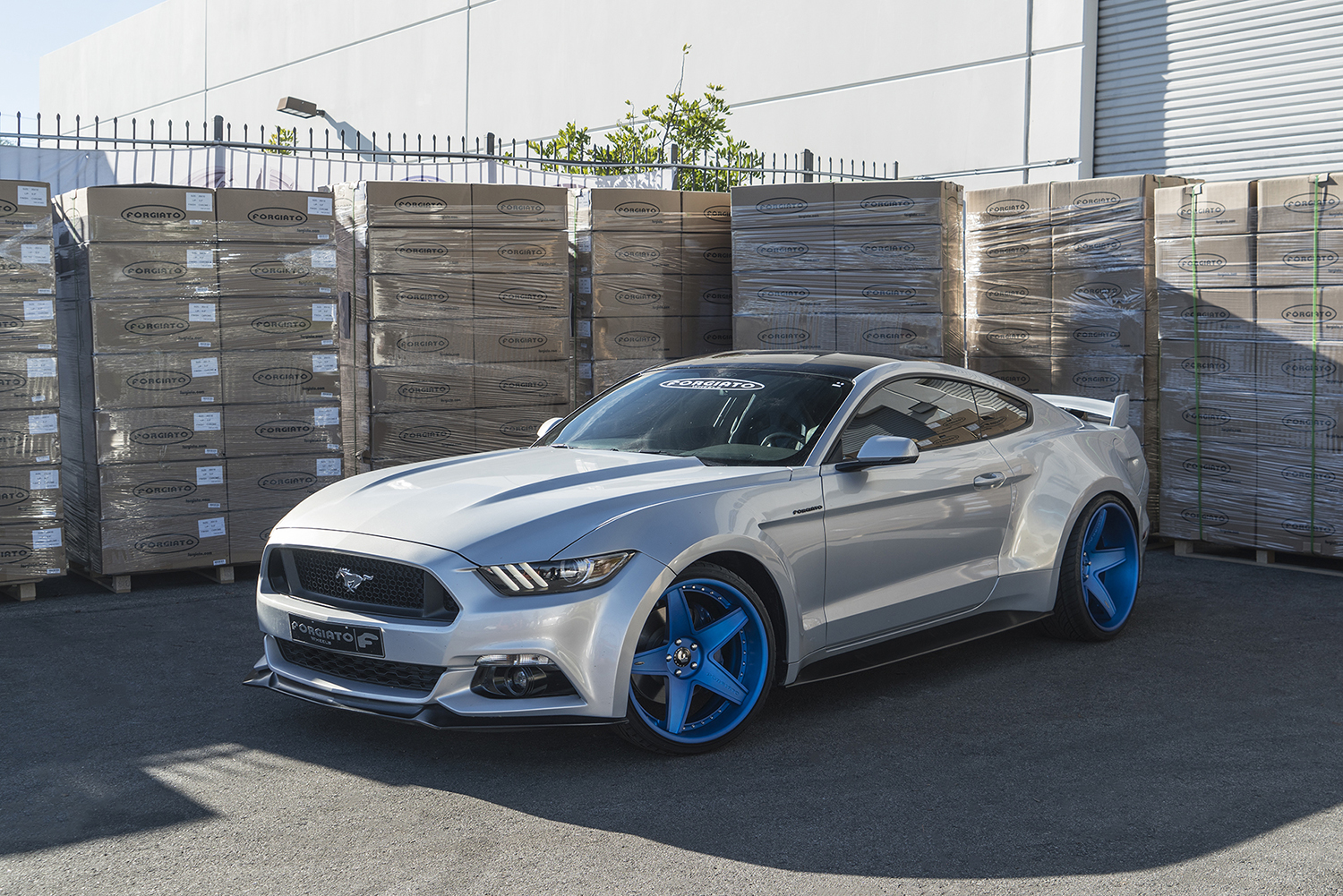 Mustang on Classico-ECL