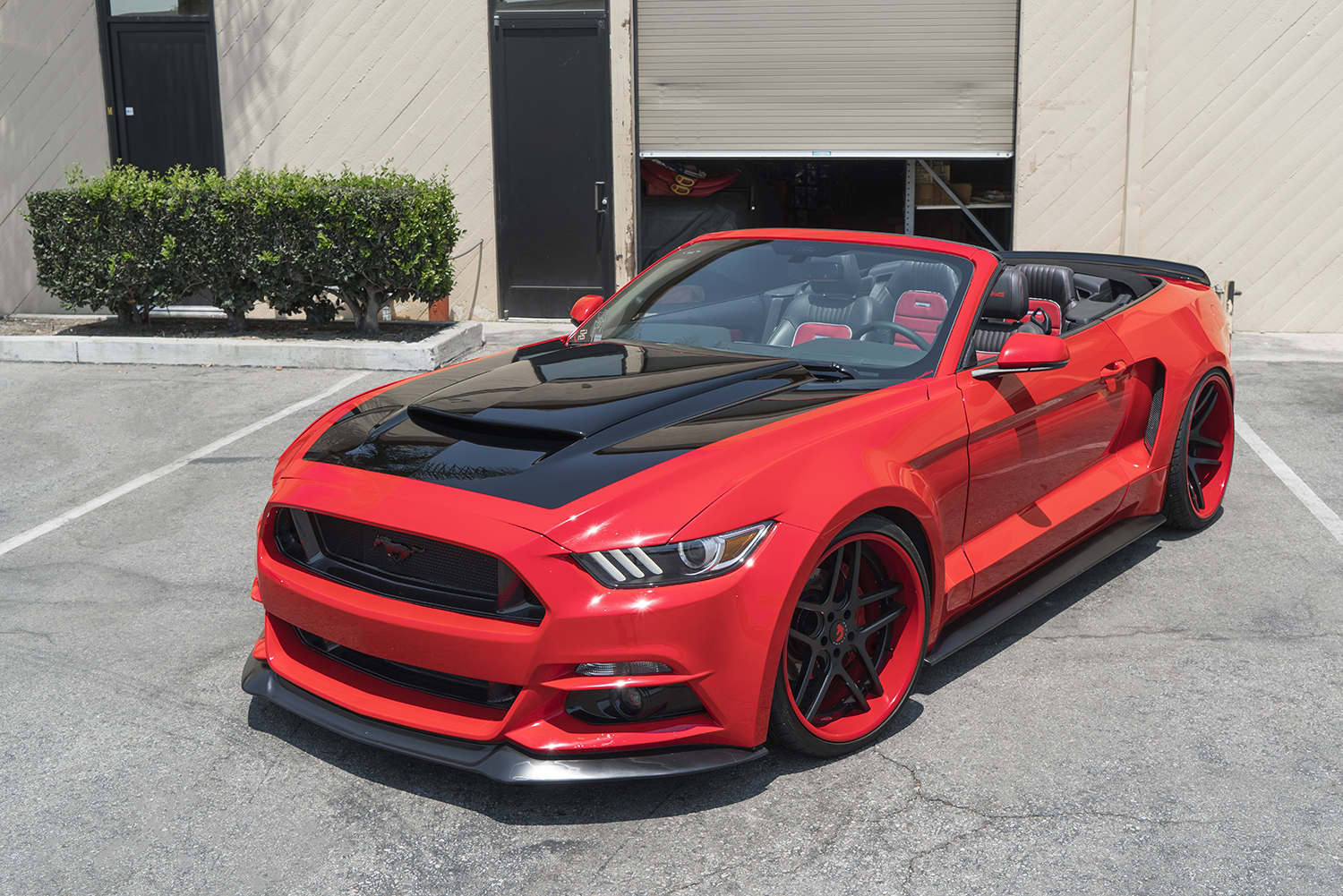 Mustang on Dieci-ECL