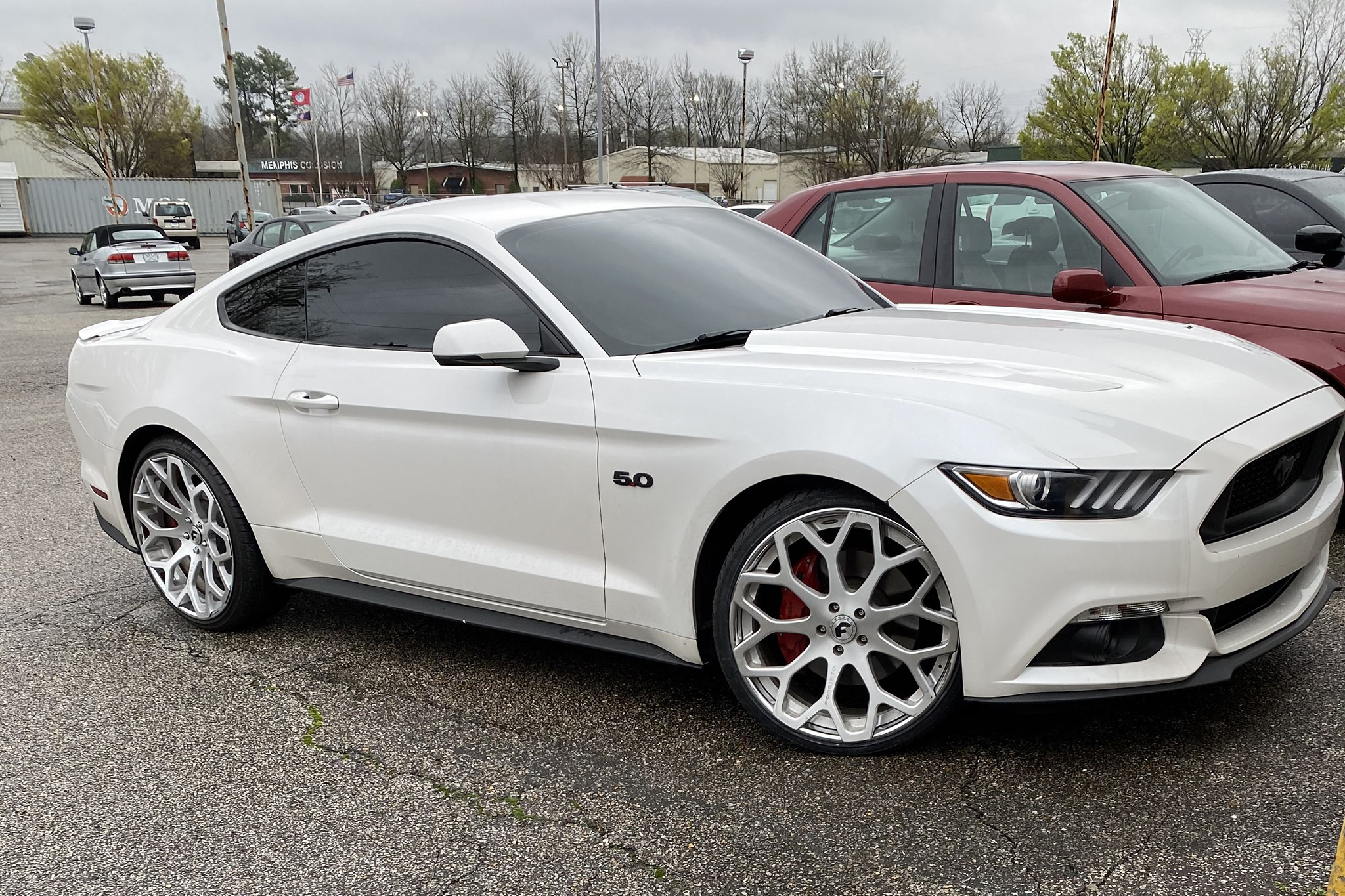 Mustang on Drea-ECL