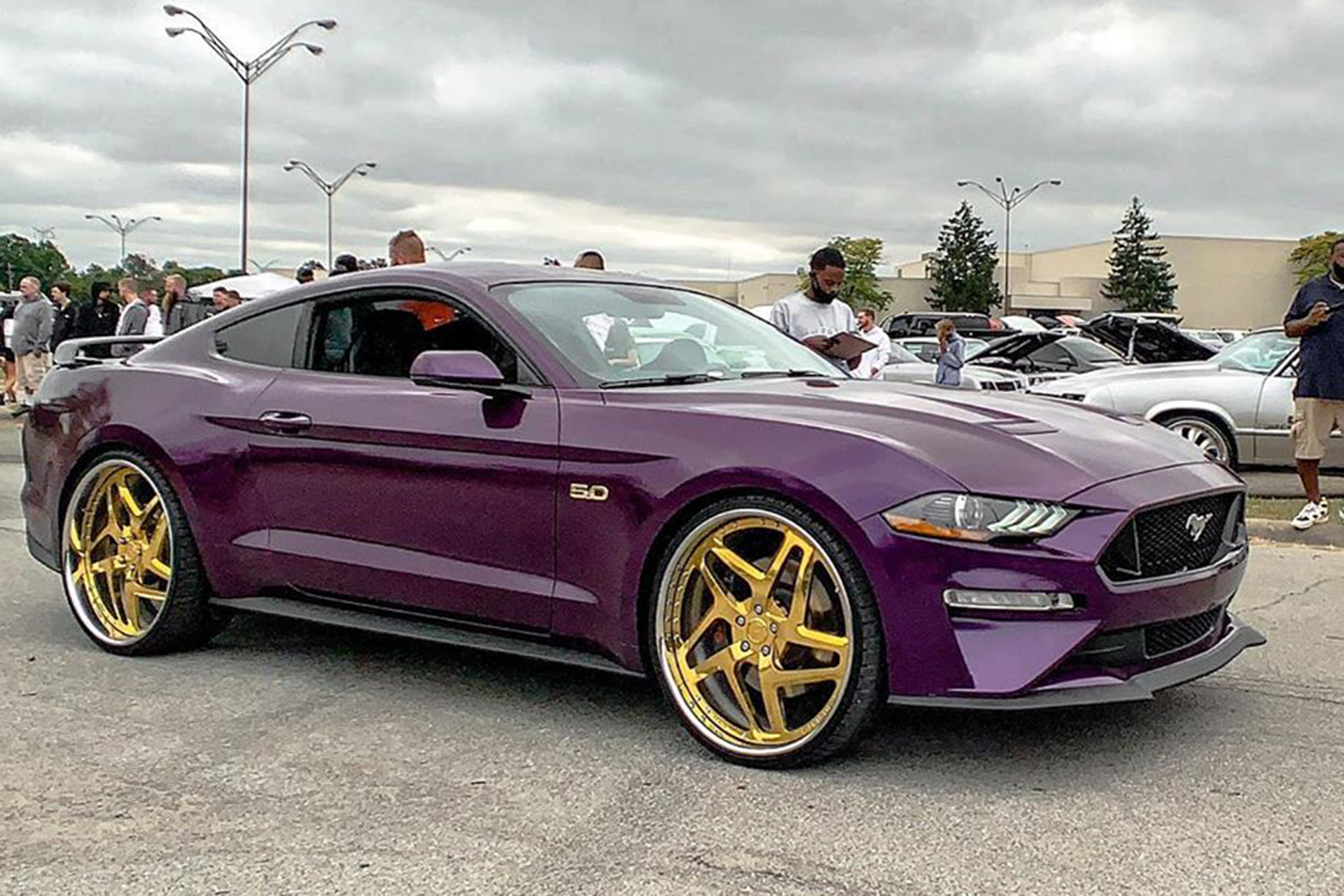 Mustang on F2.11-B