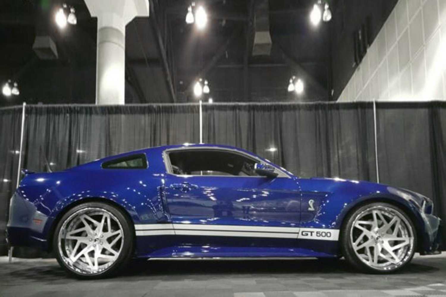 Mustang on Finestro-ECL