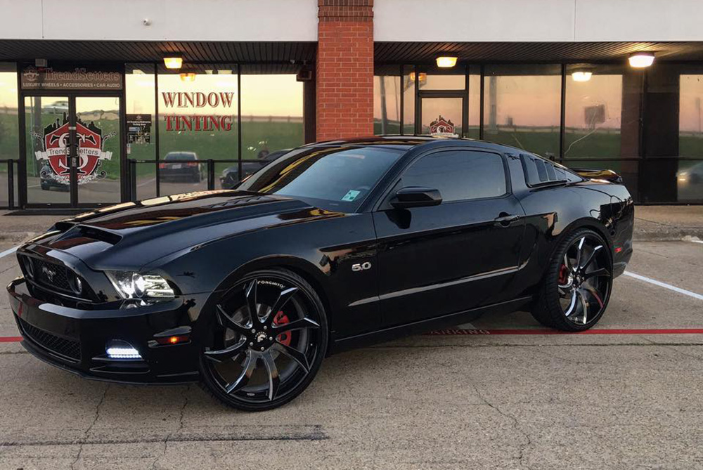Mustang on Fondare-ECL