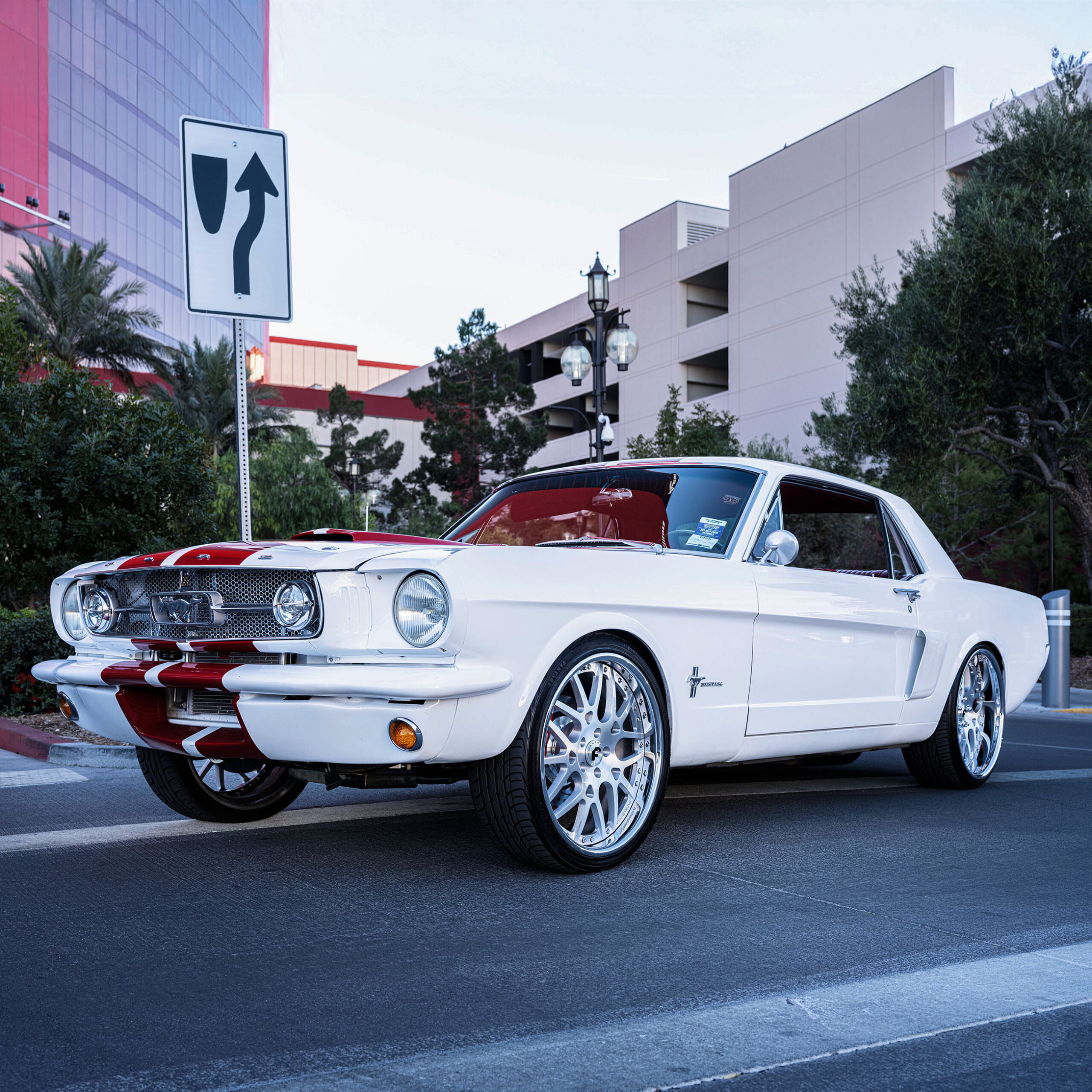 Mustang on Maglia
